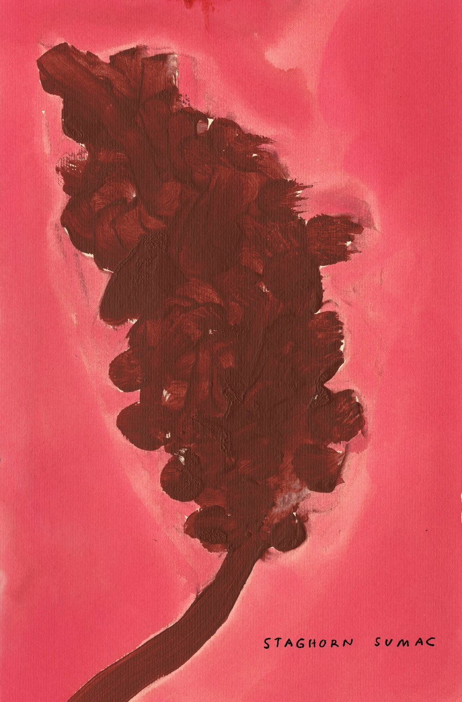 The Native Trees of Canada