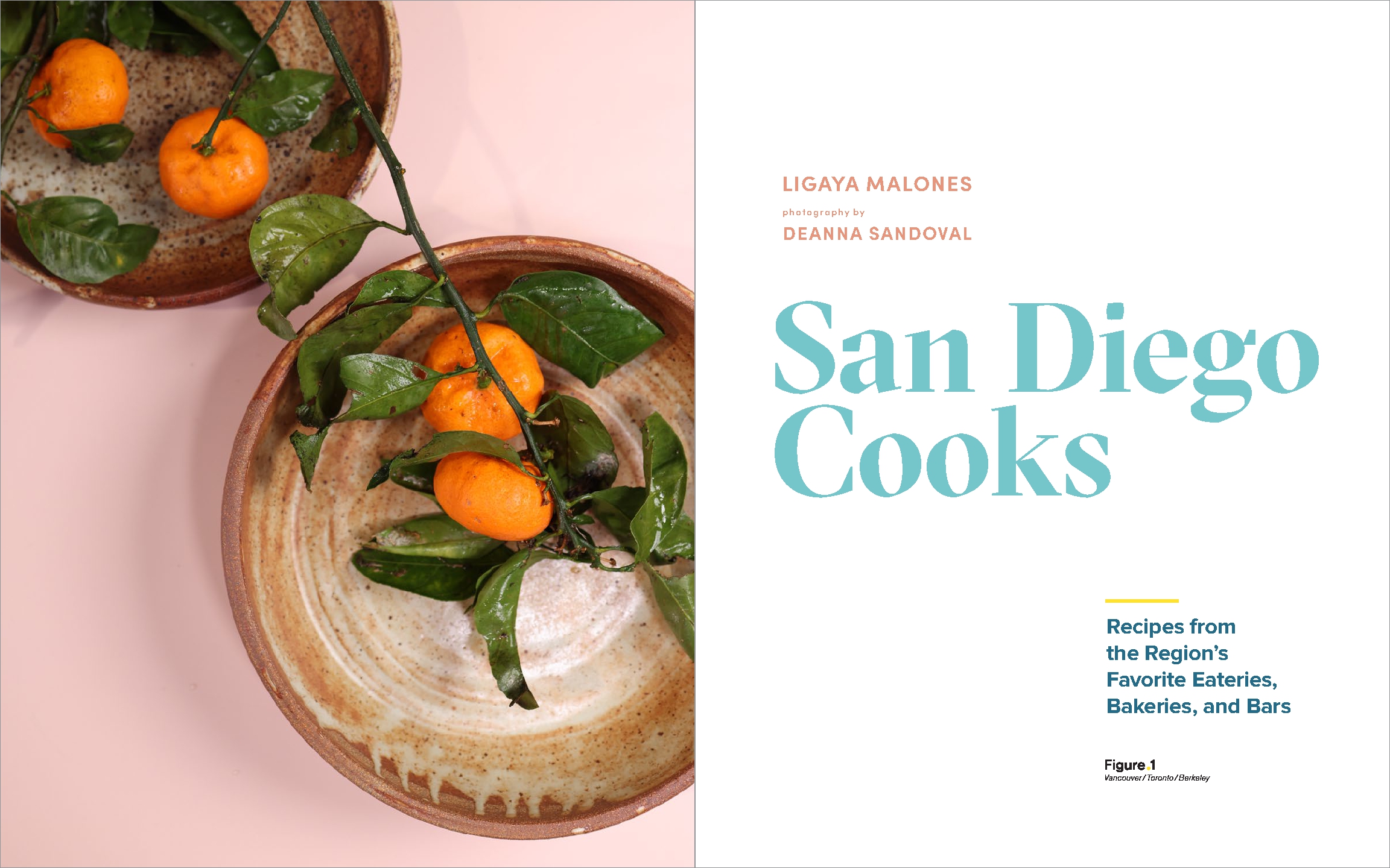 San Diego Cooks
