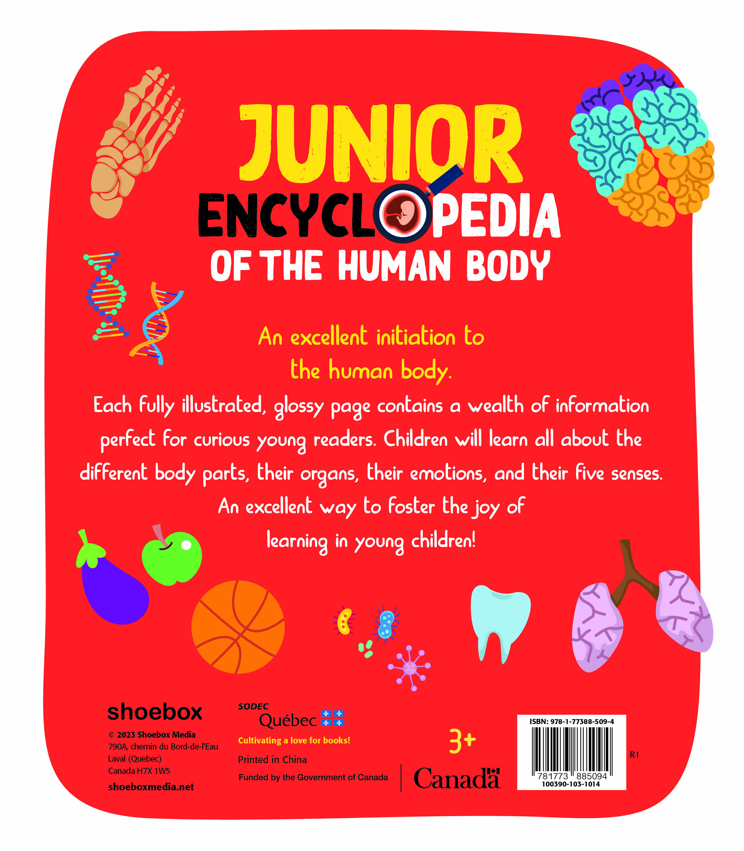Junior Encyclopedia Of Human Body