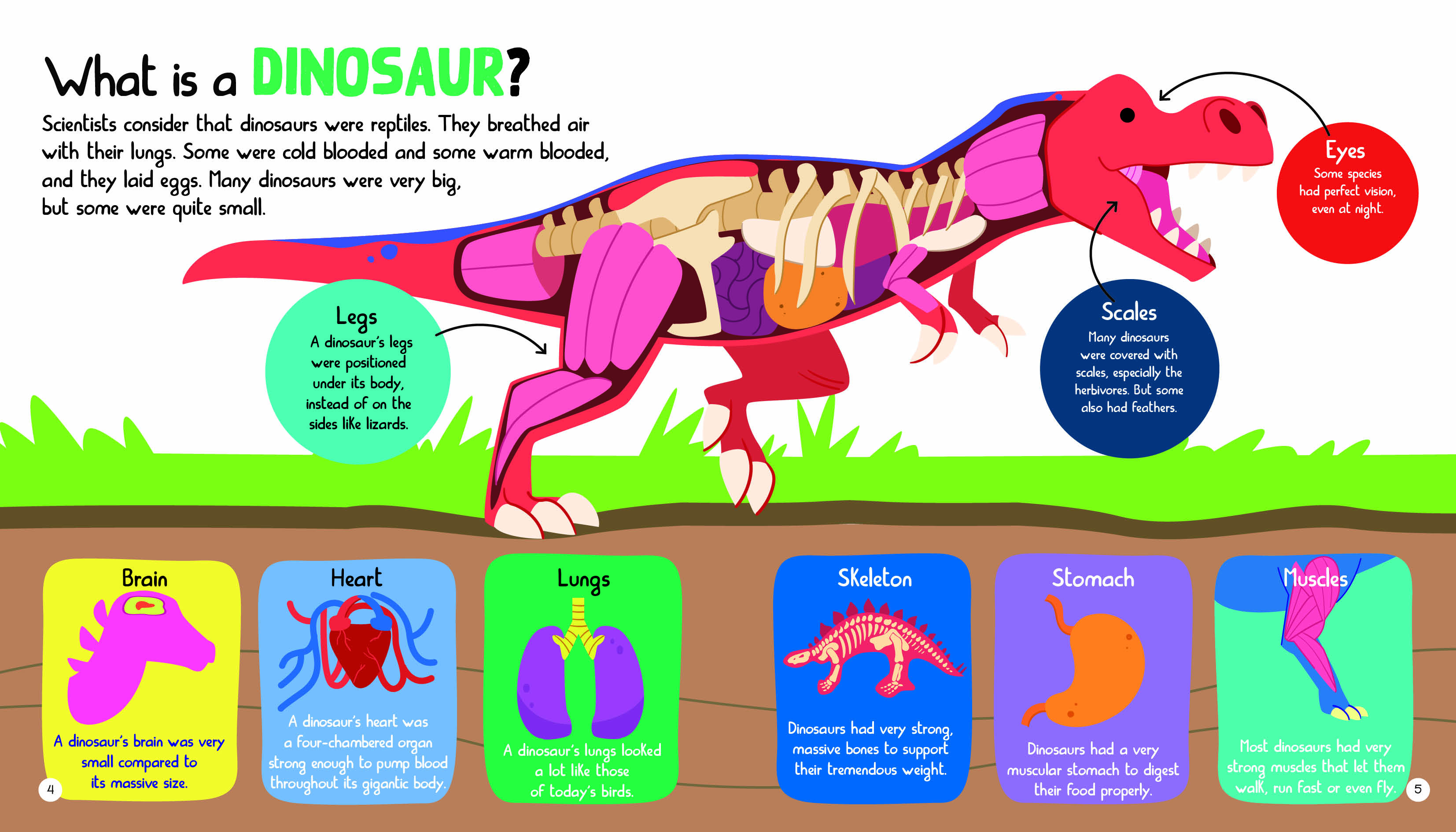 Junior Encyclopedia Of Dinosaurs