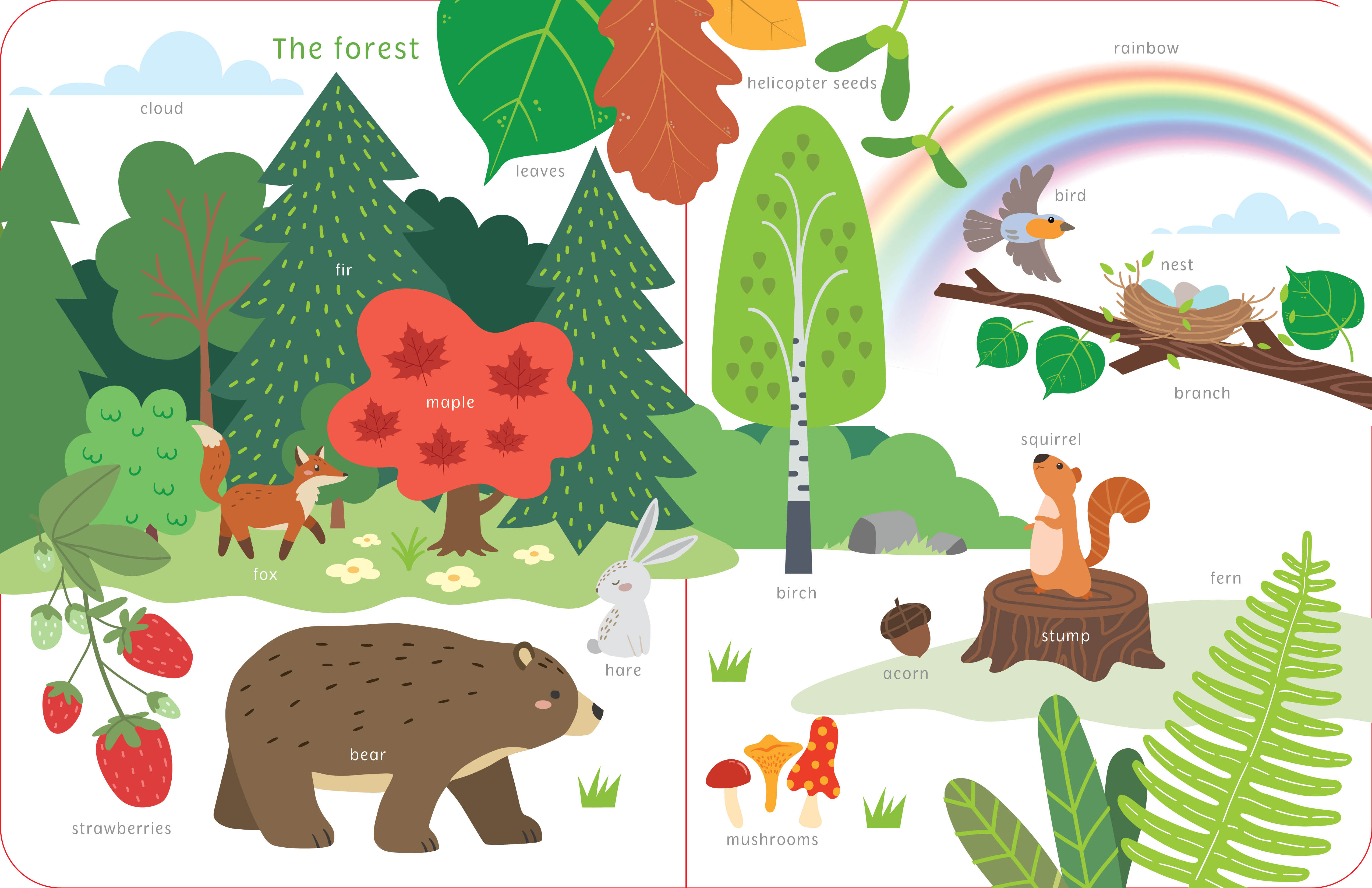 First Words: Nature