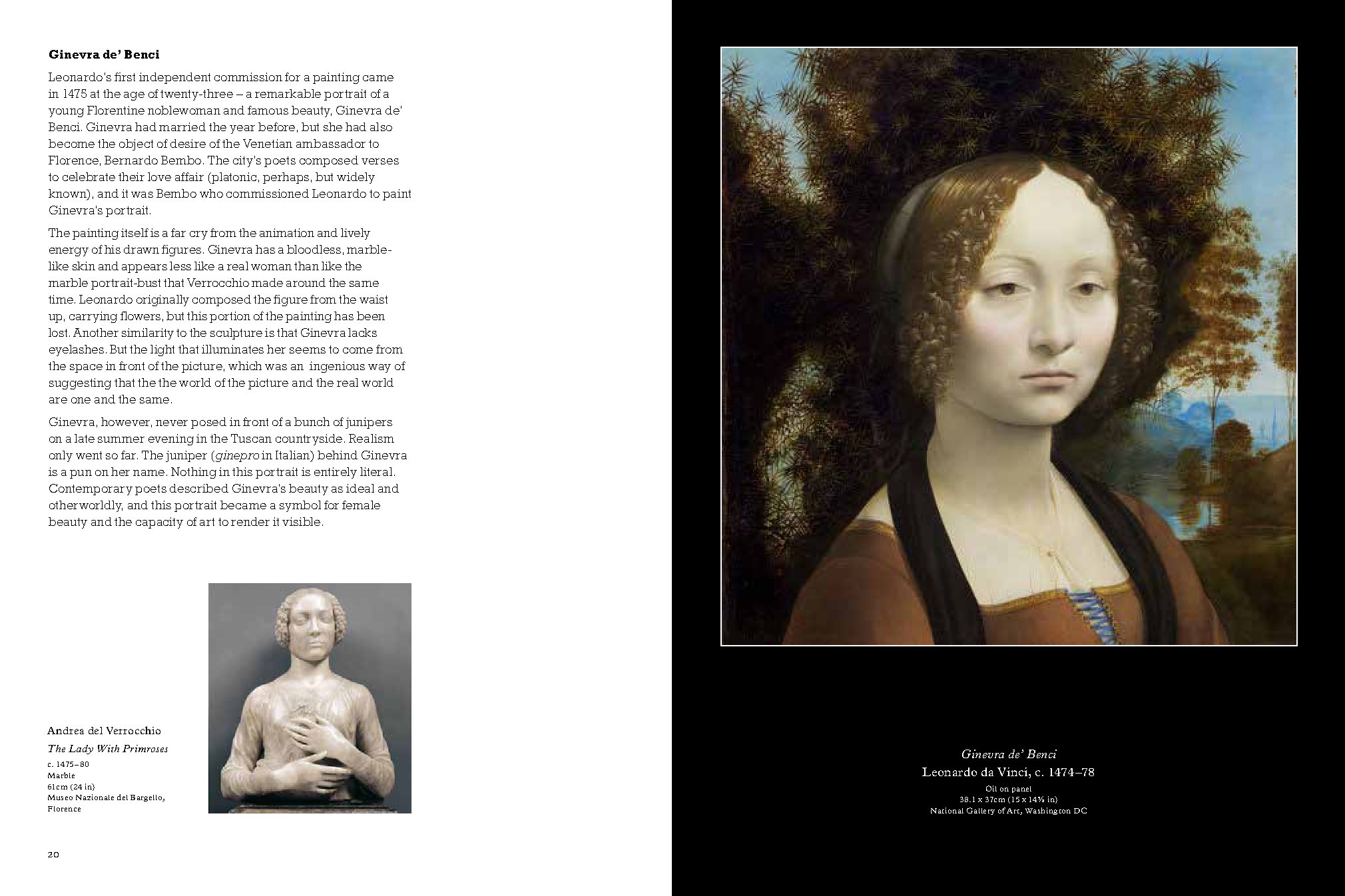 This is Leonardo da Vinci