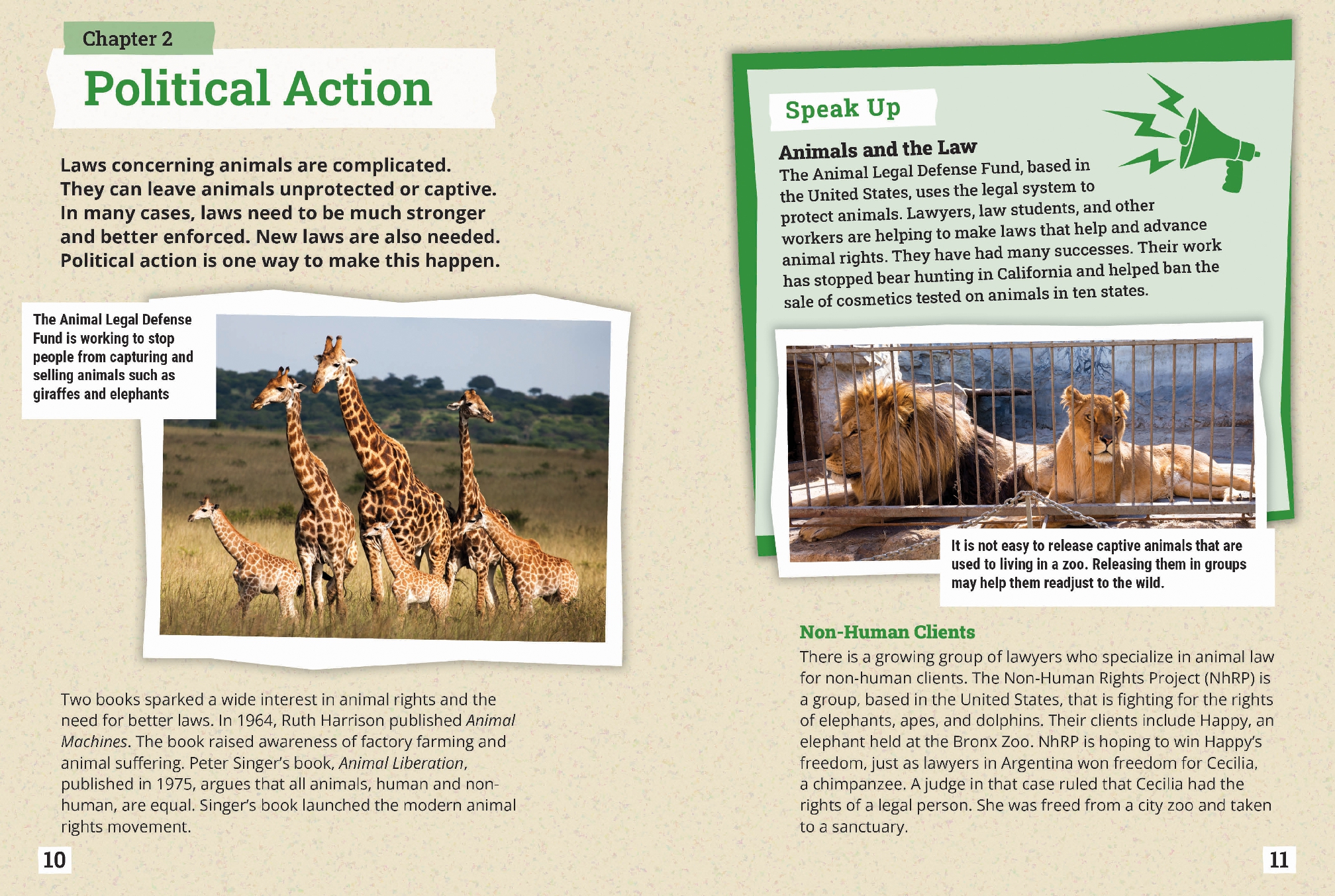 Animal Rights