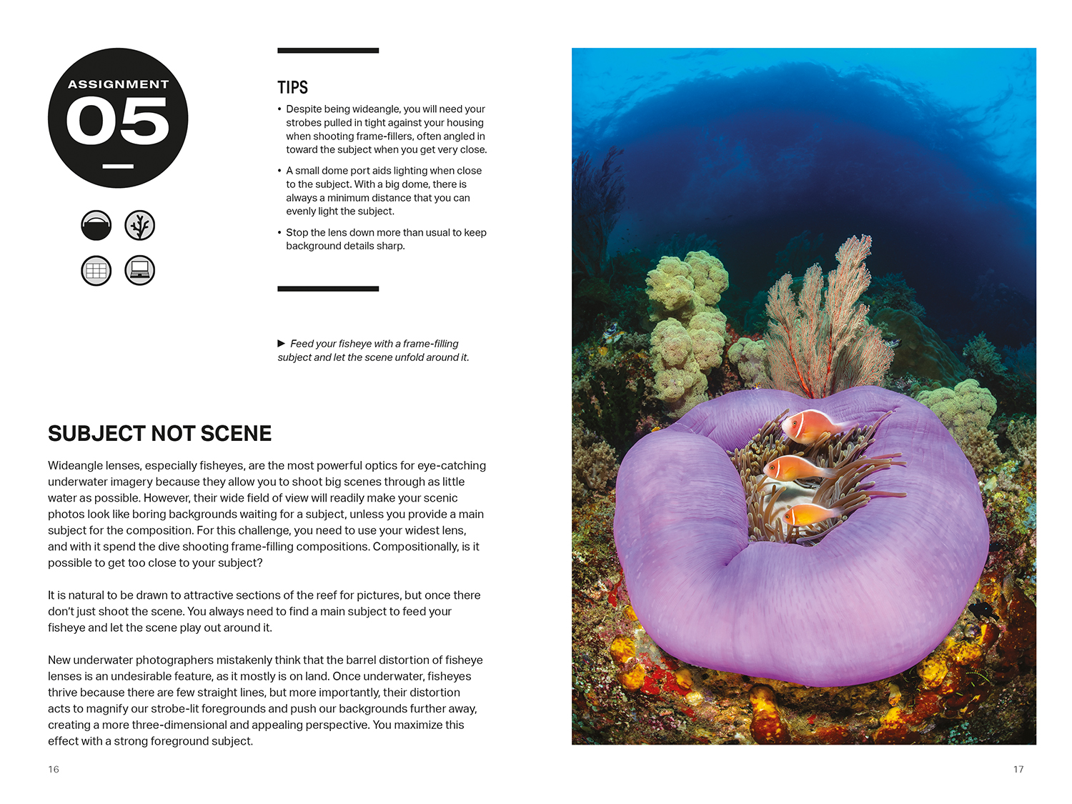 52 Assignments: Underwater Photography