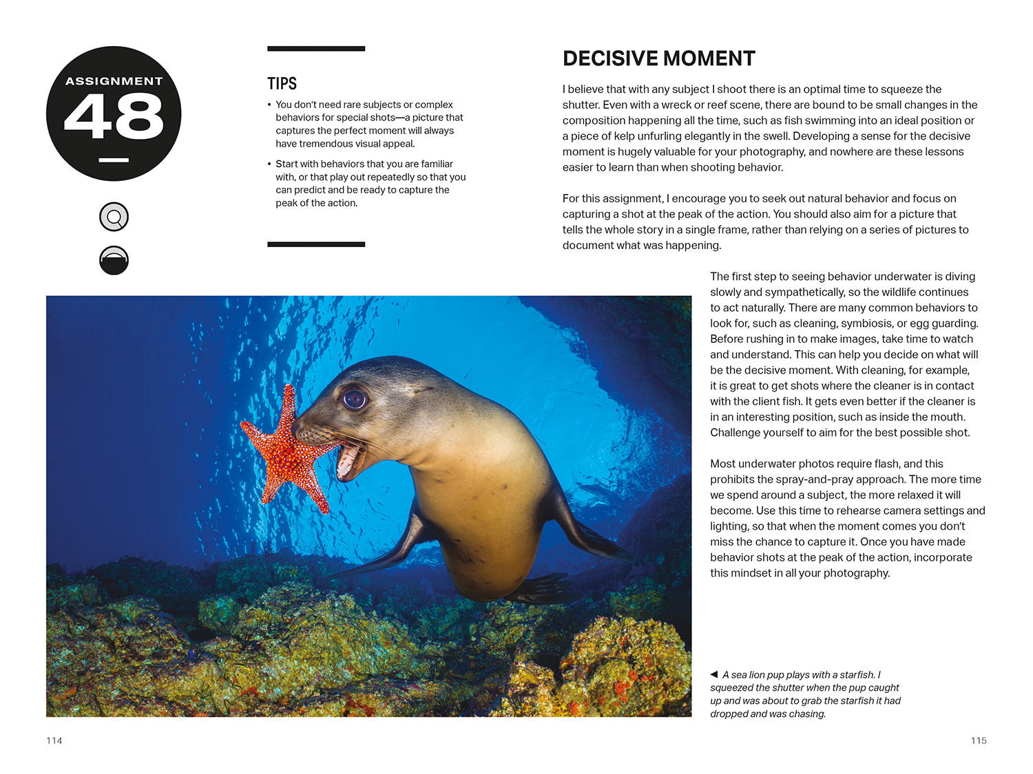 52 Assignments: Underwater Photography