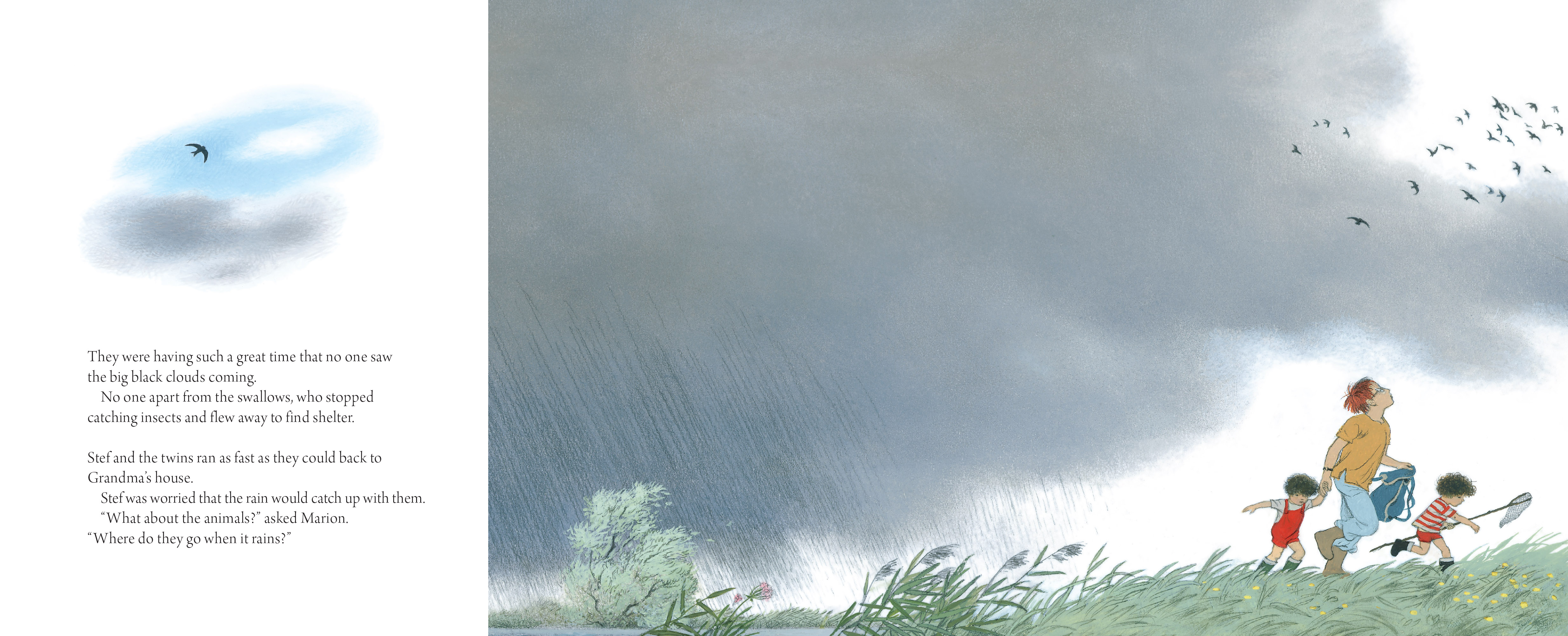 Where Do They Go When It Rains?
