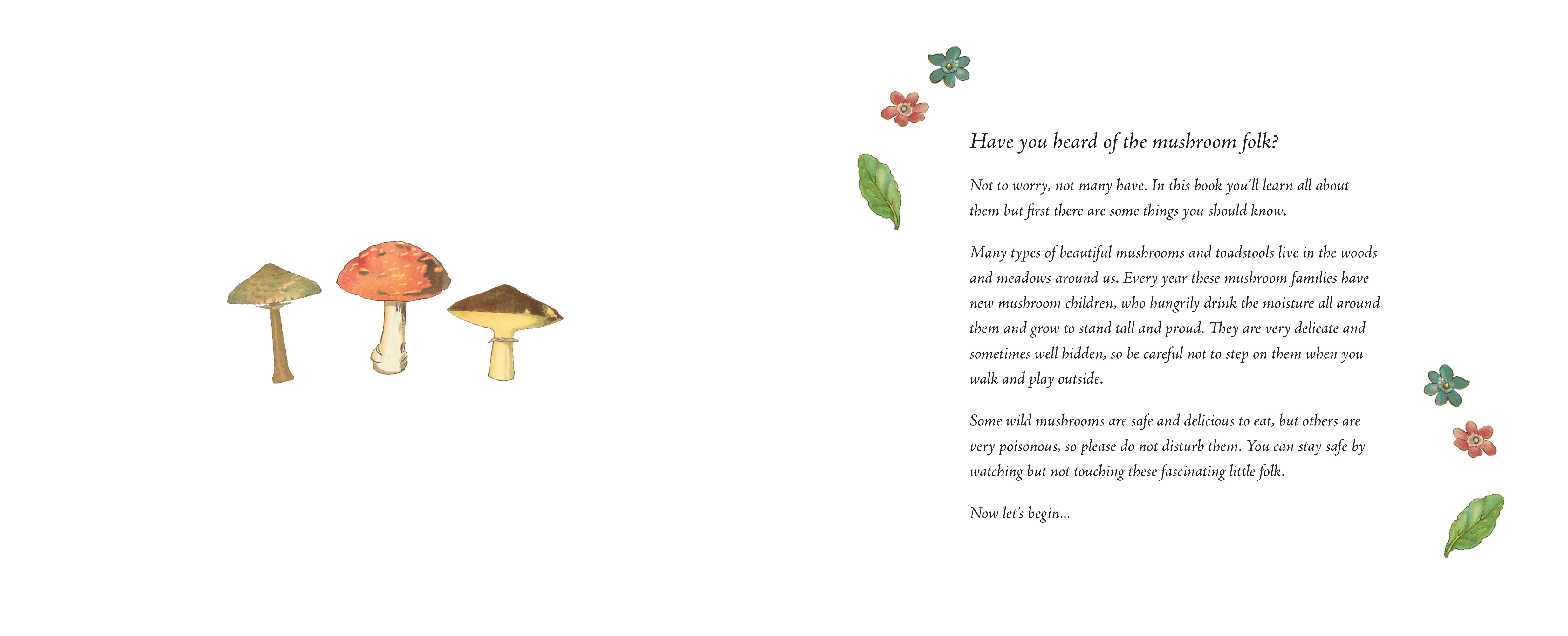 Tales of the Mushroom Folk
