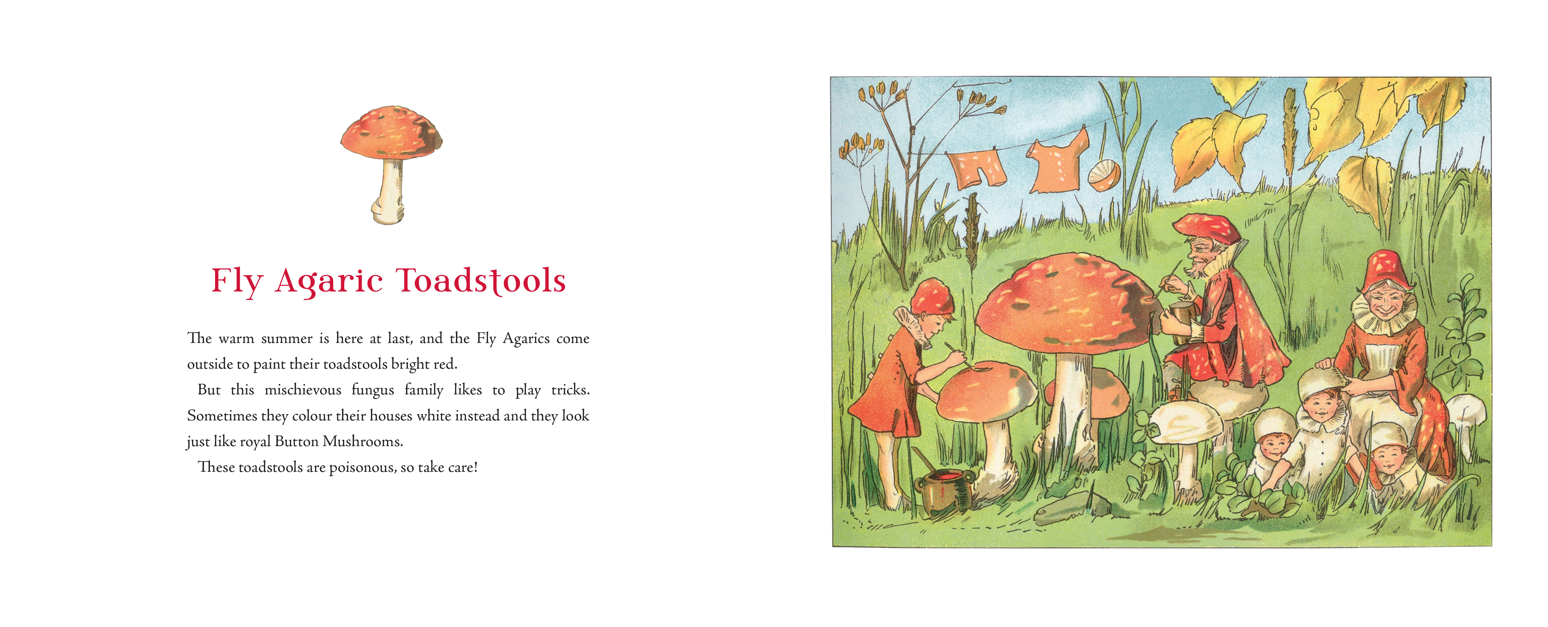 Tales of the Mushroom Folk