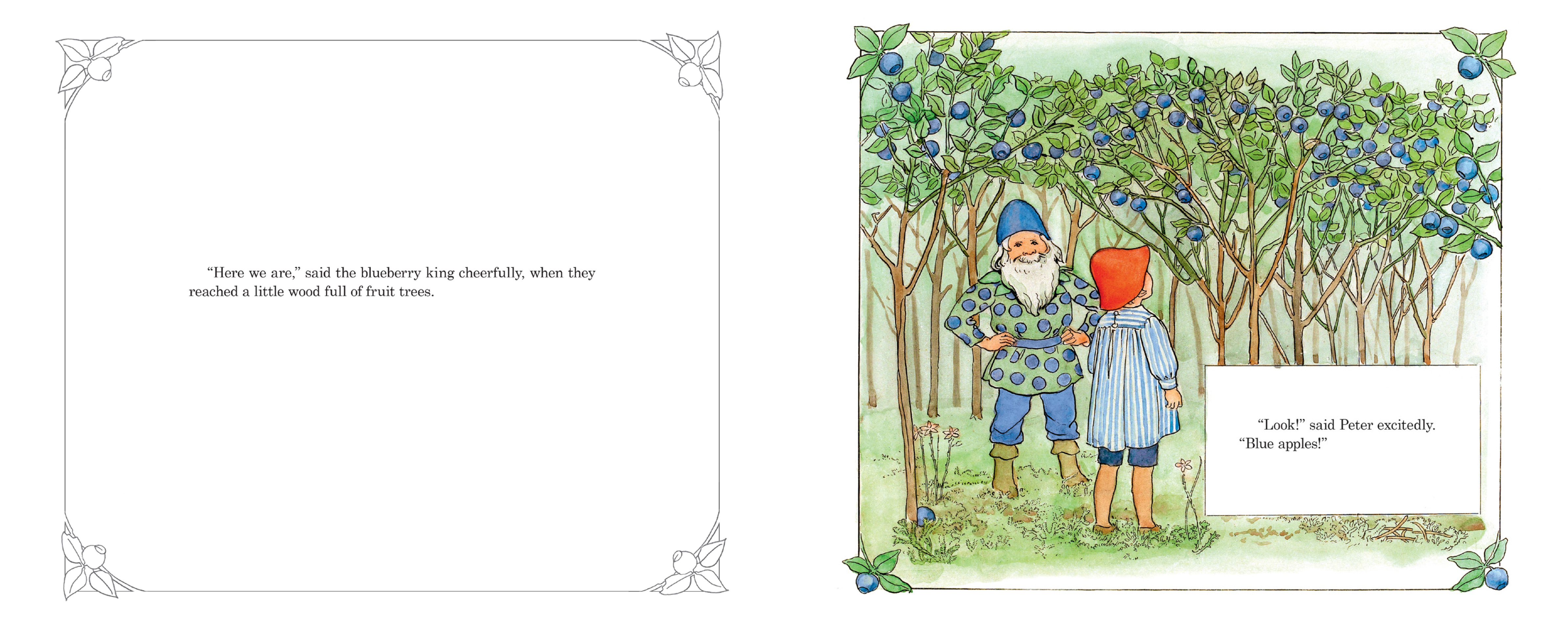 Peter in Blueberry Land