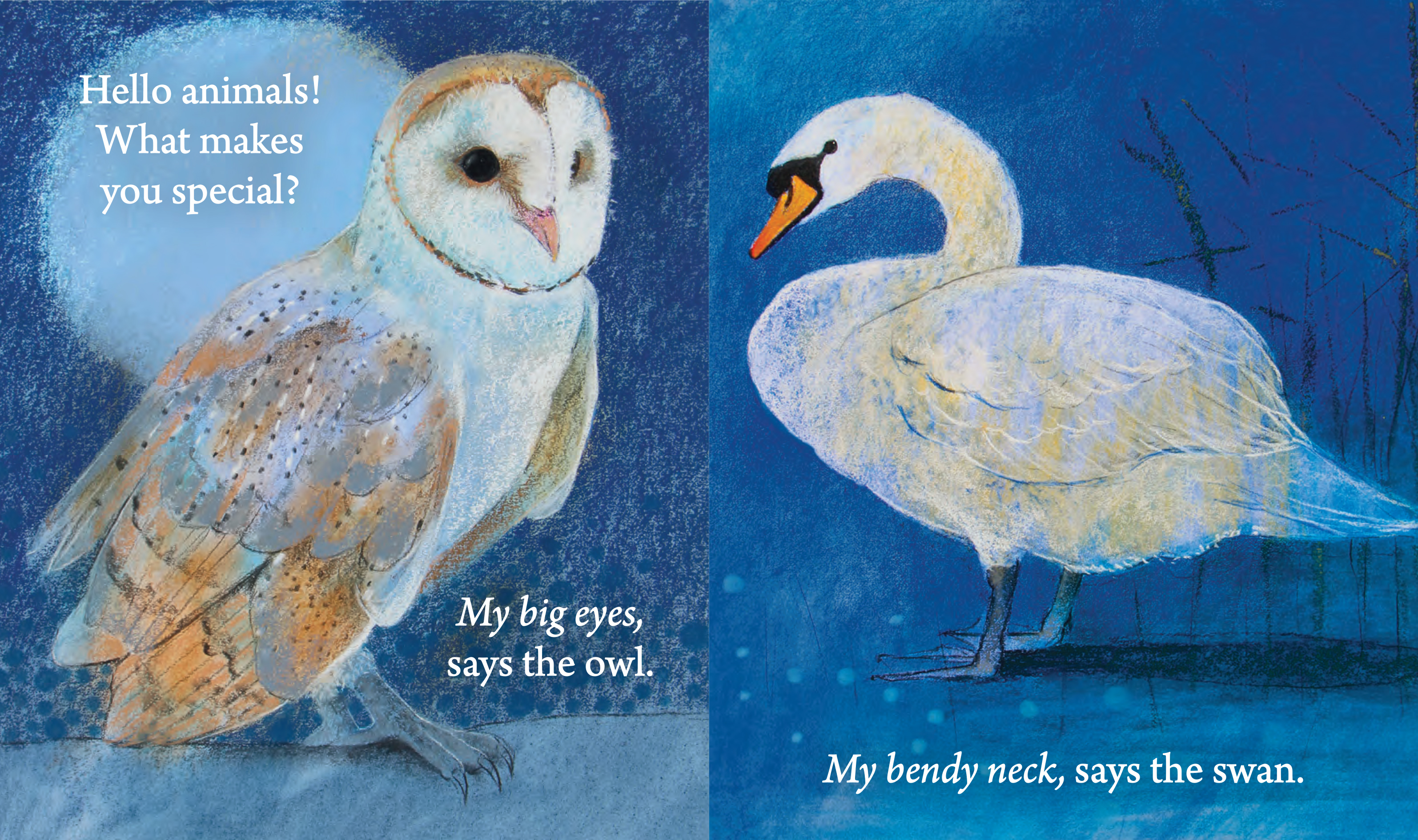Hello Animals: A Board Book Gift Collection
