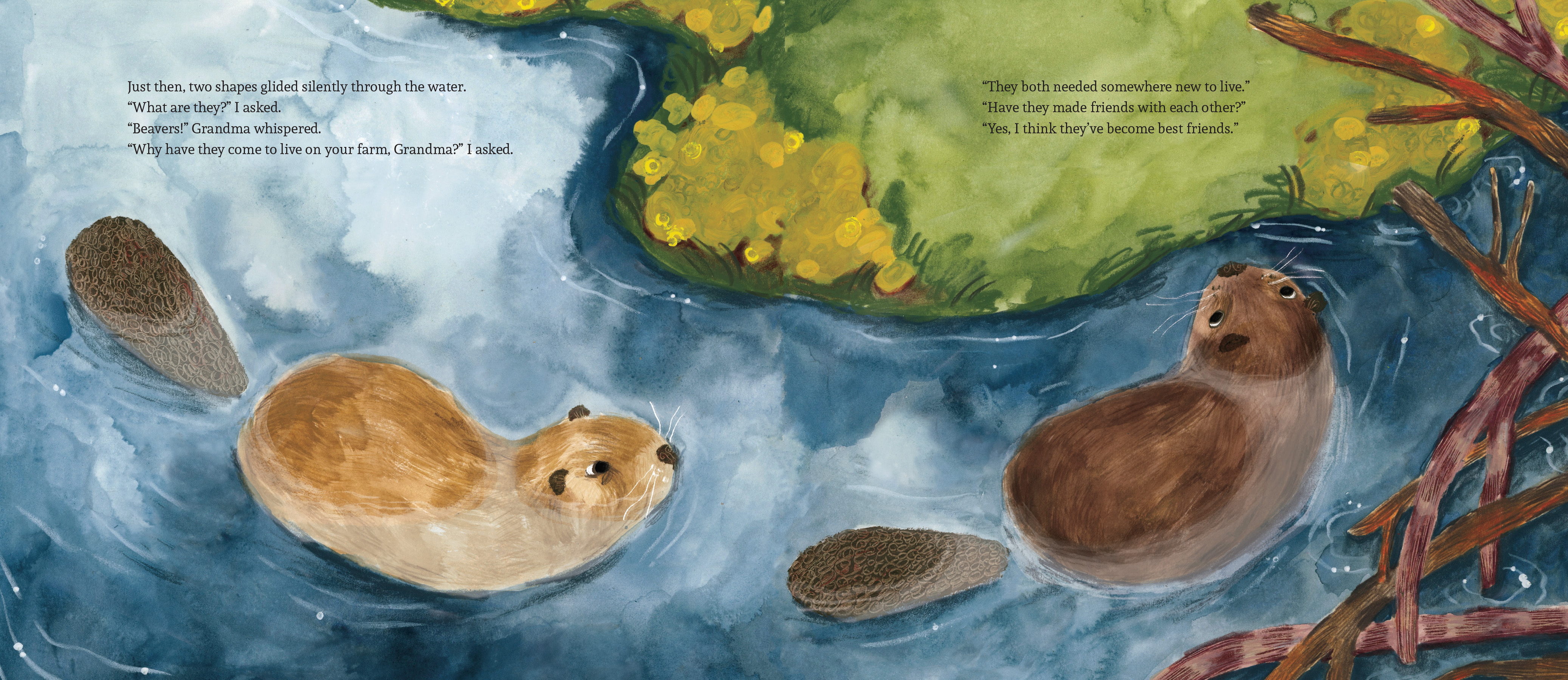 By the Beaver Pool