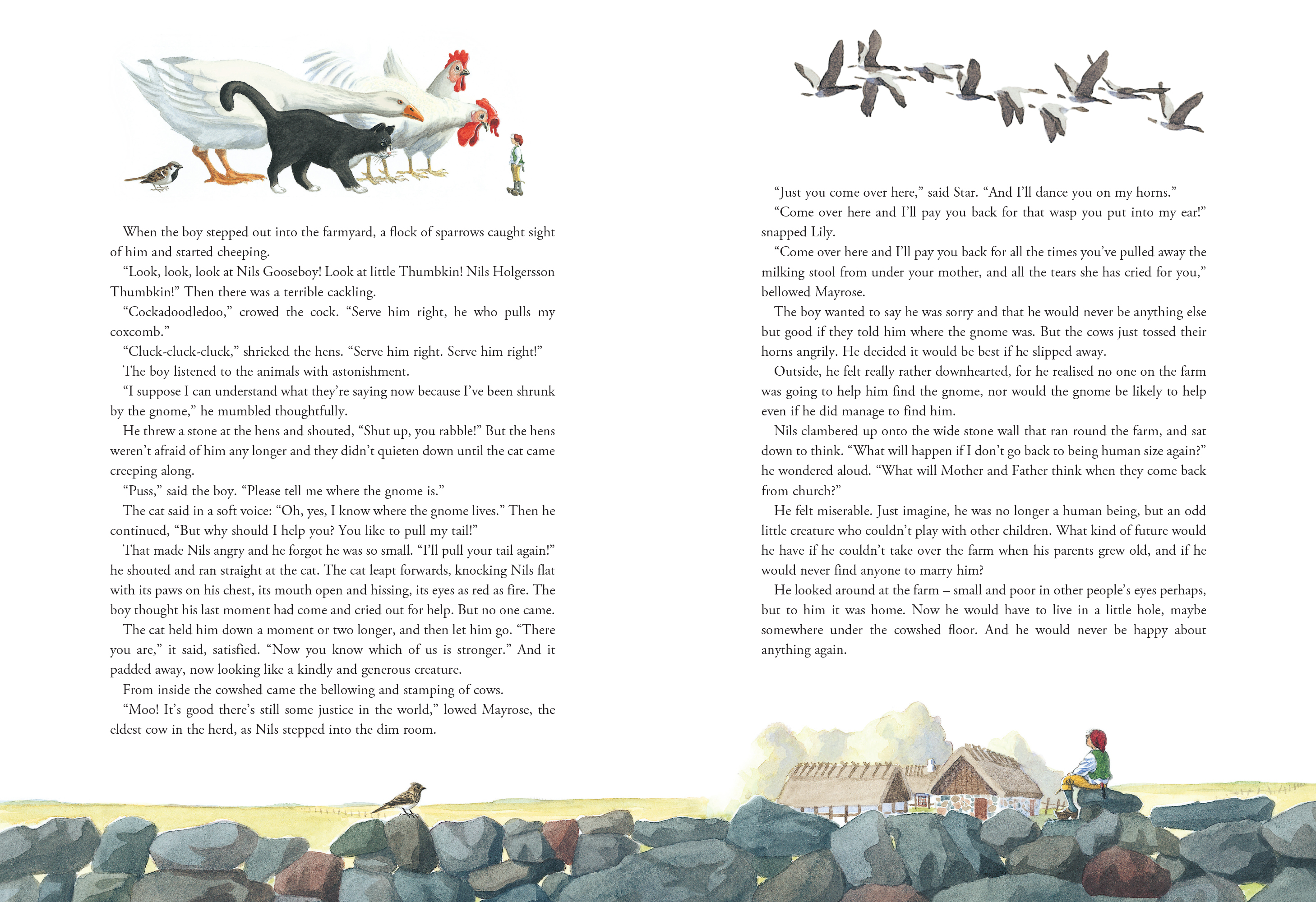 The Wonderful Adventures of Nils