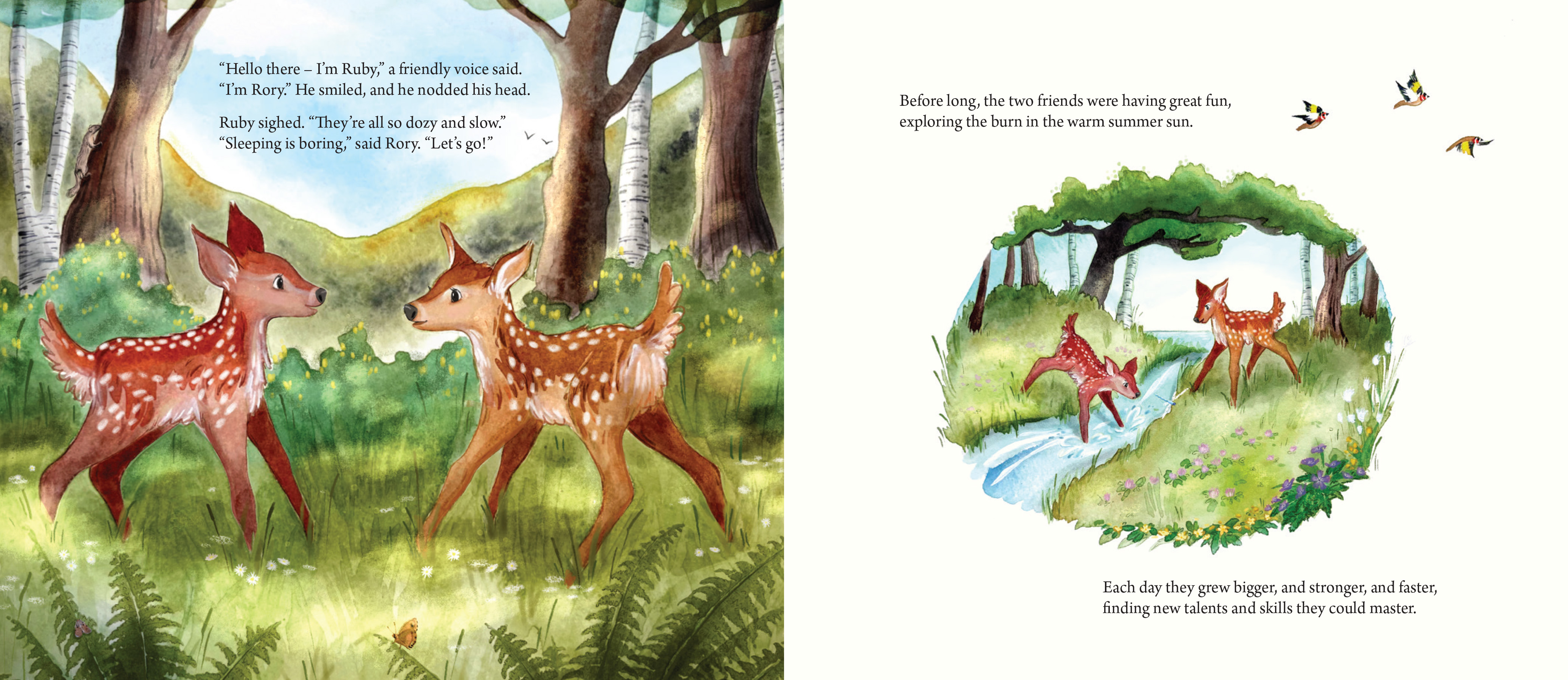Rory the Little Red Deer