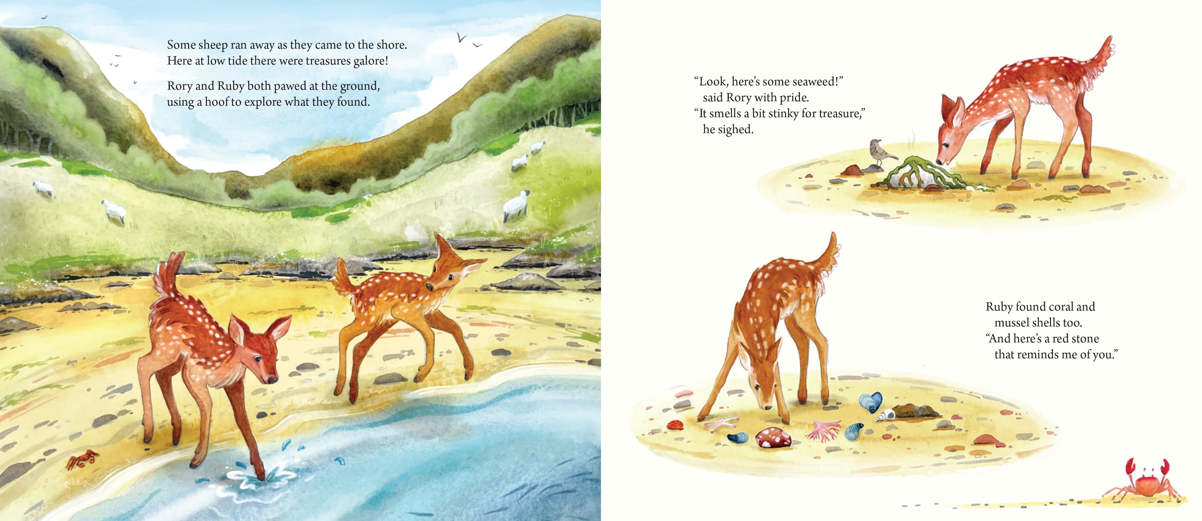 Rory the Little Red Deer