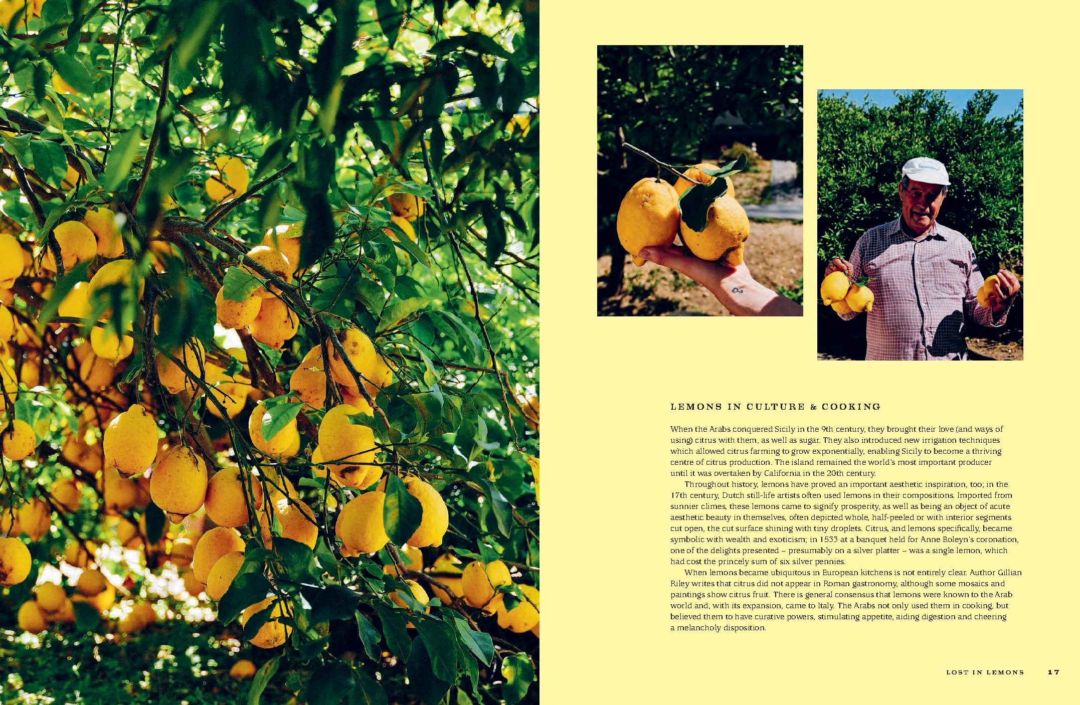 For the Love of Lemons