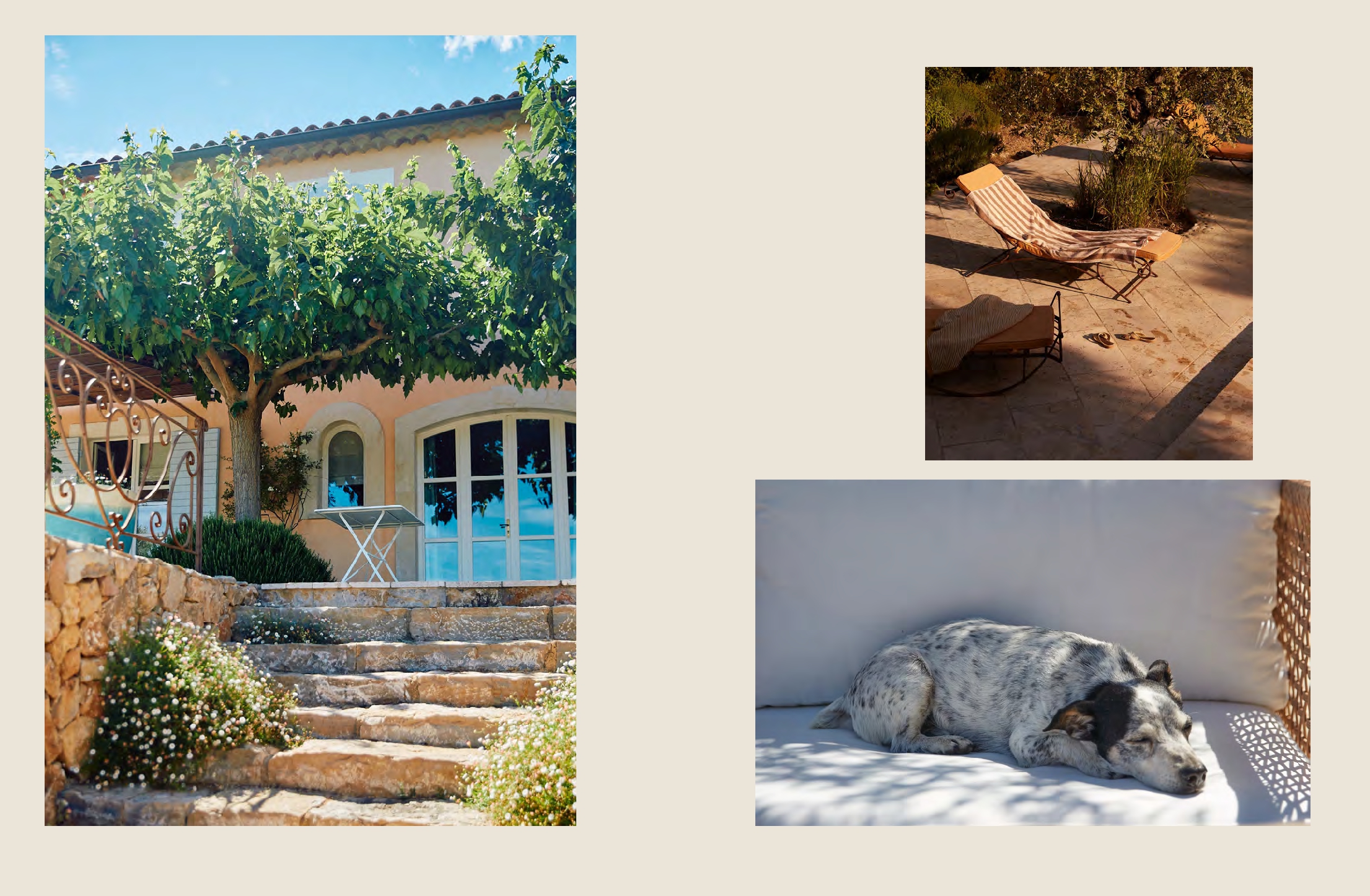 At Home in Provence