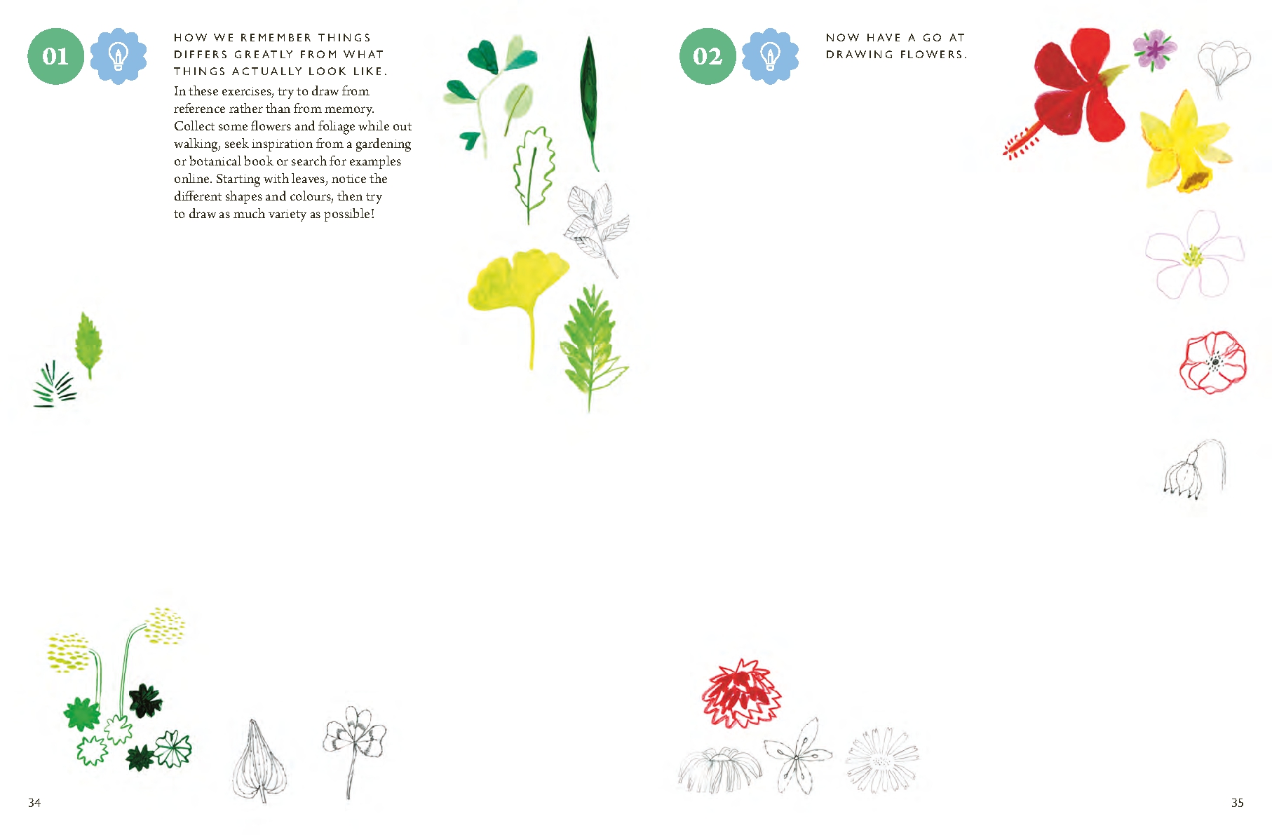 Drawing Nature