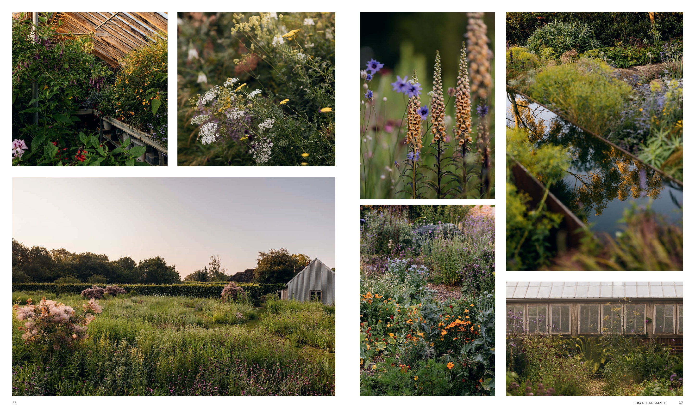 Wonderlands