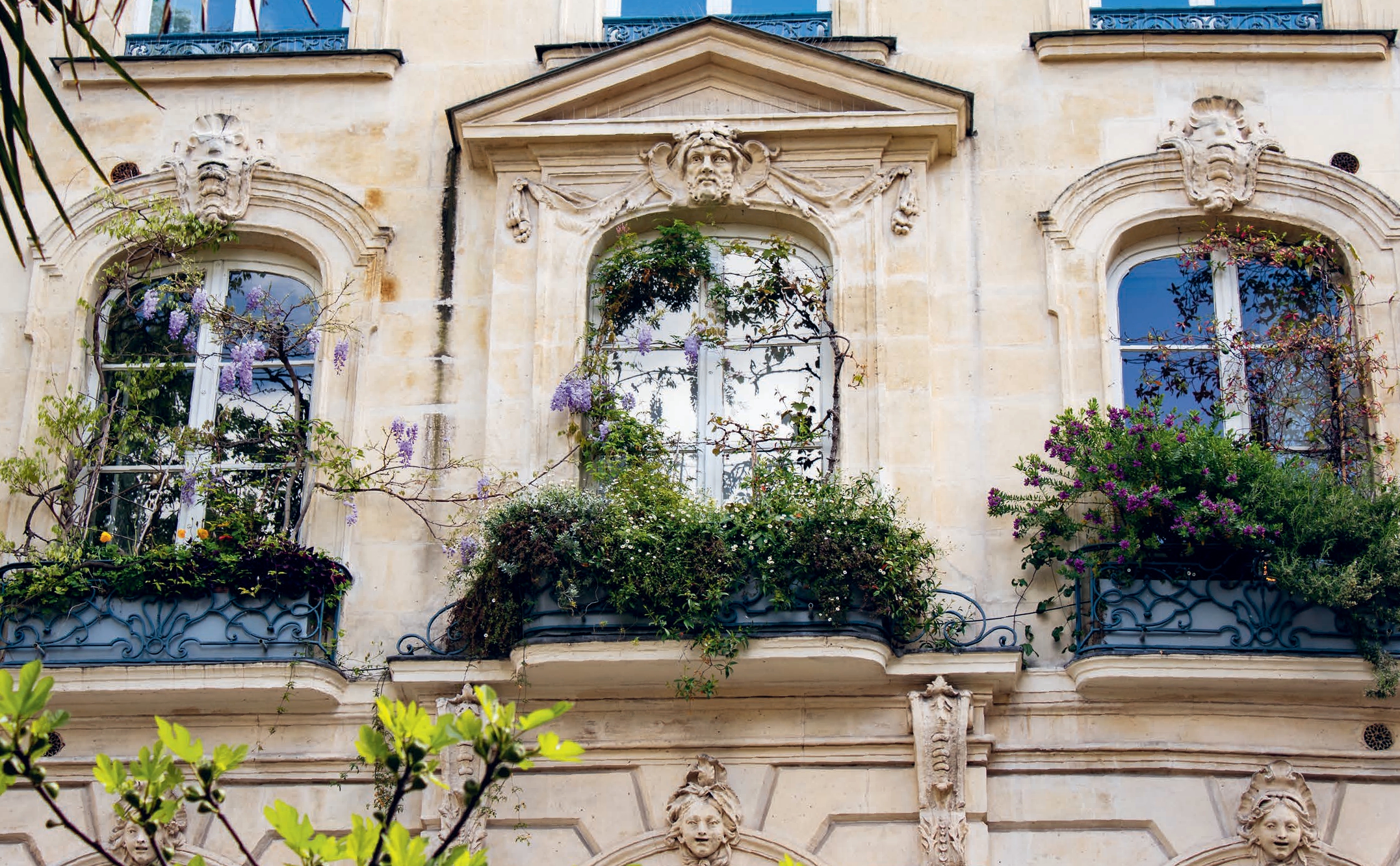 The Secret Gardens of Paris