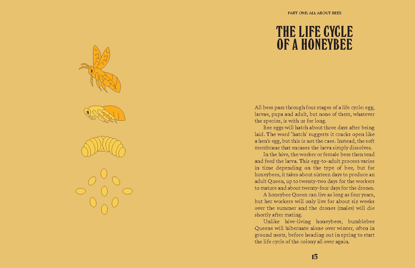 Bees
