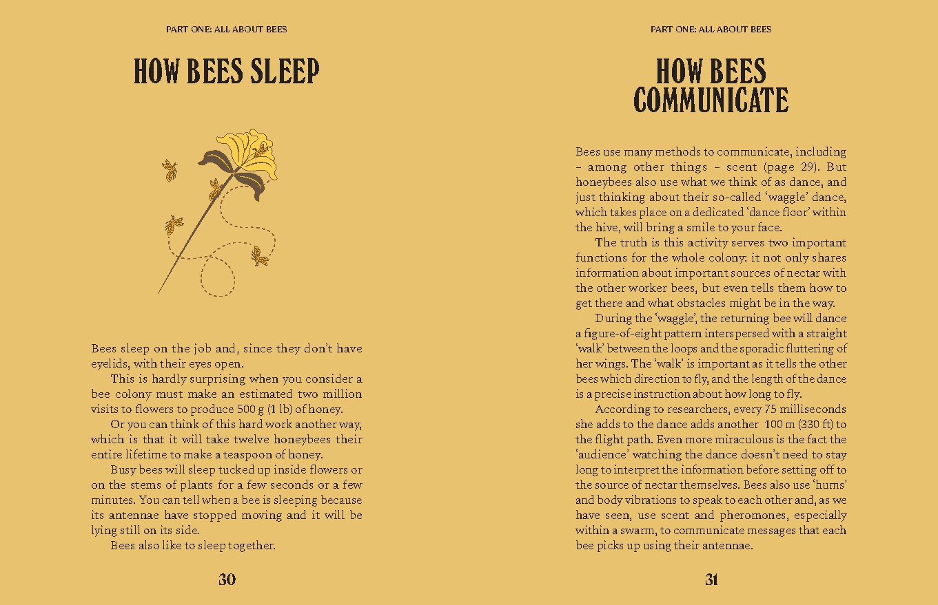 Bees