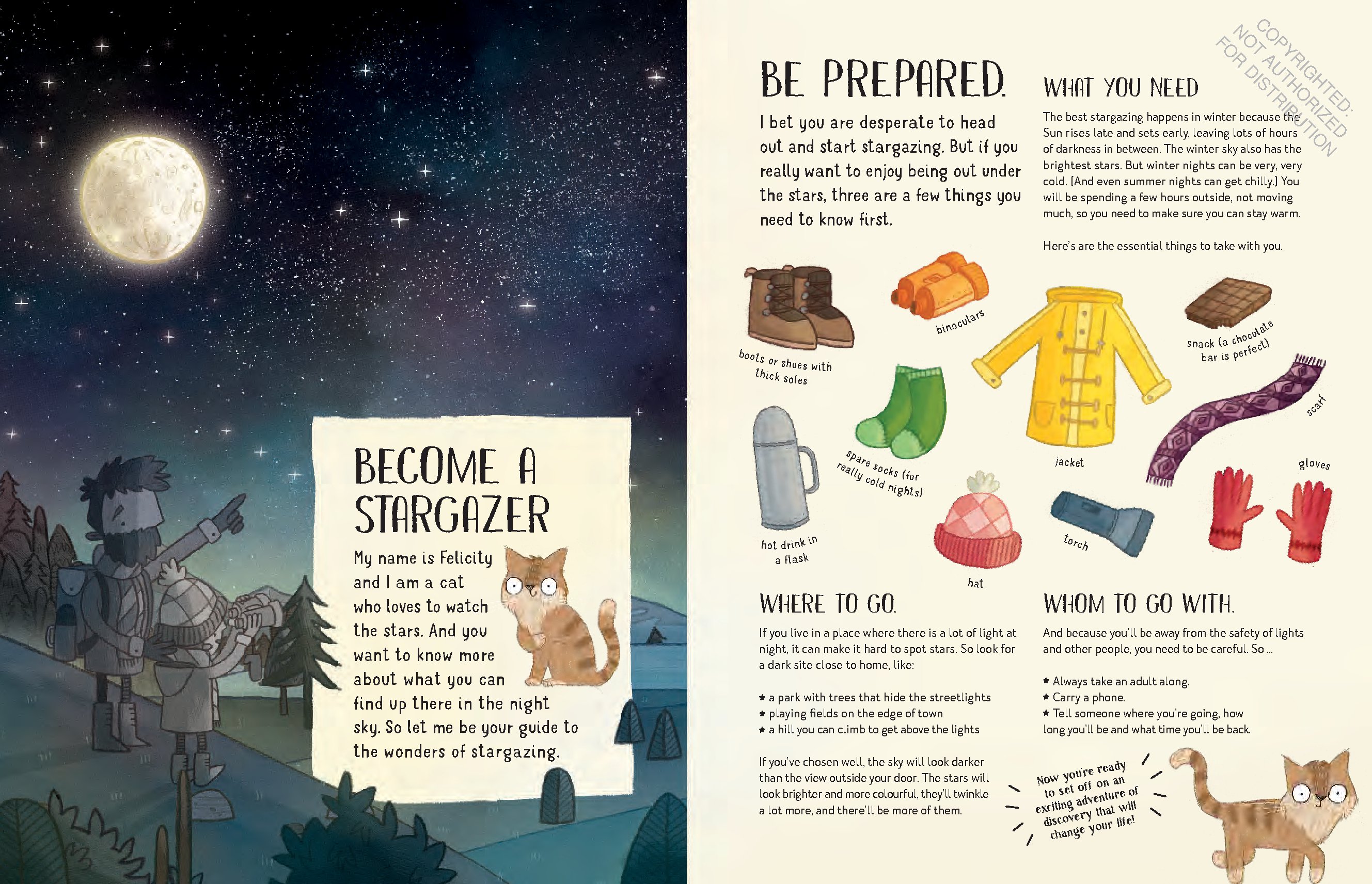 A Cat's Guide to the Night Sky