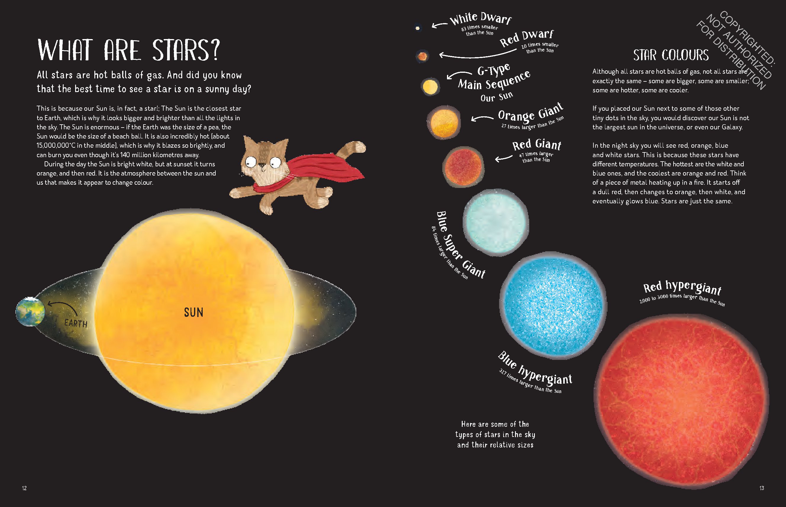 A Cat's Guide to the Night Sky