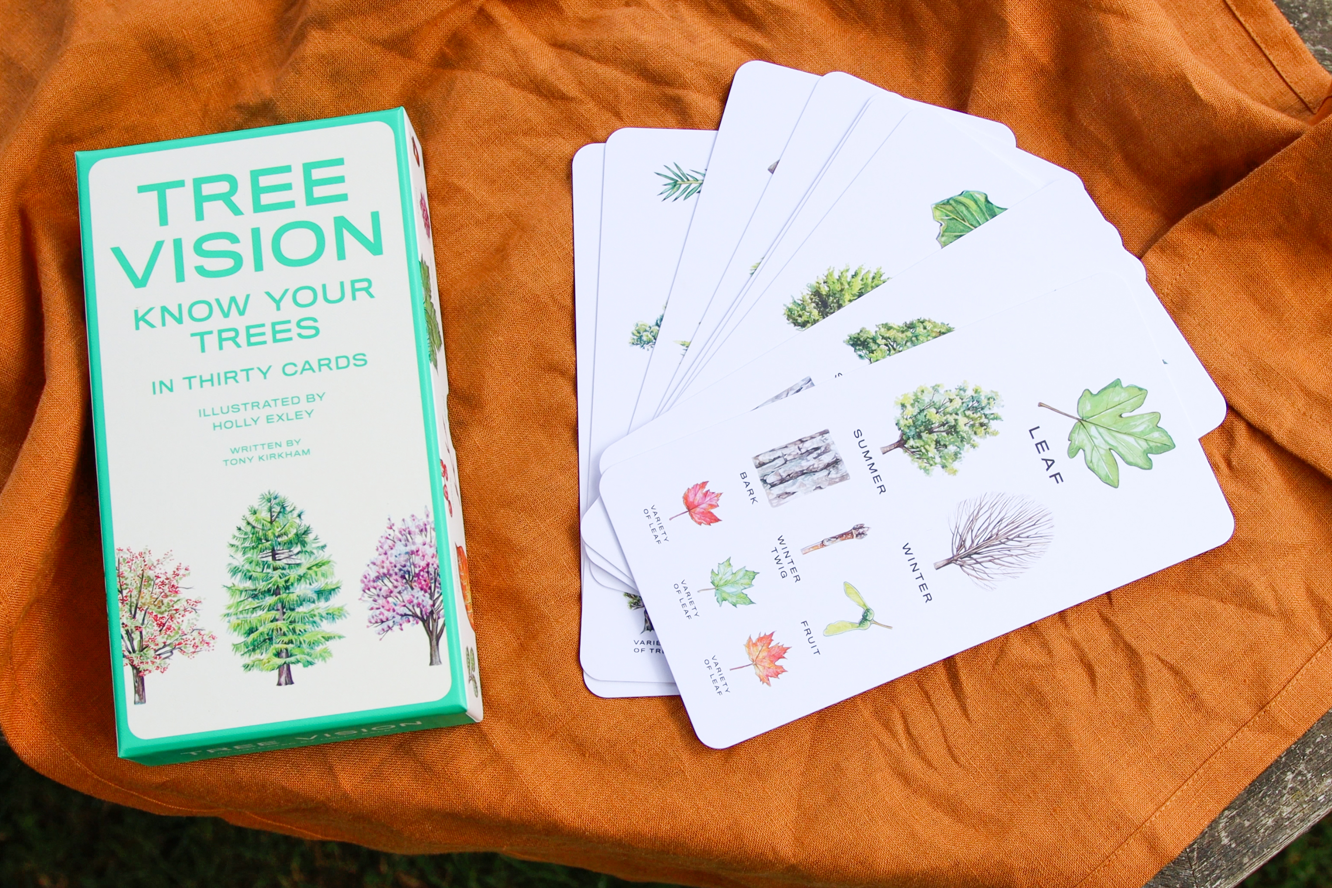 Tree Vision