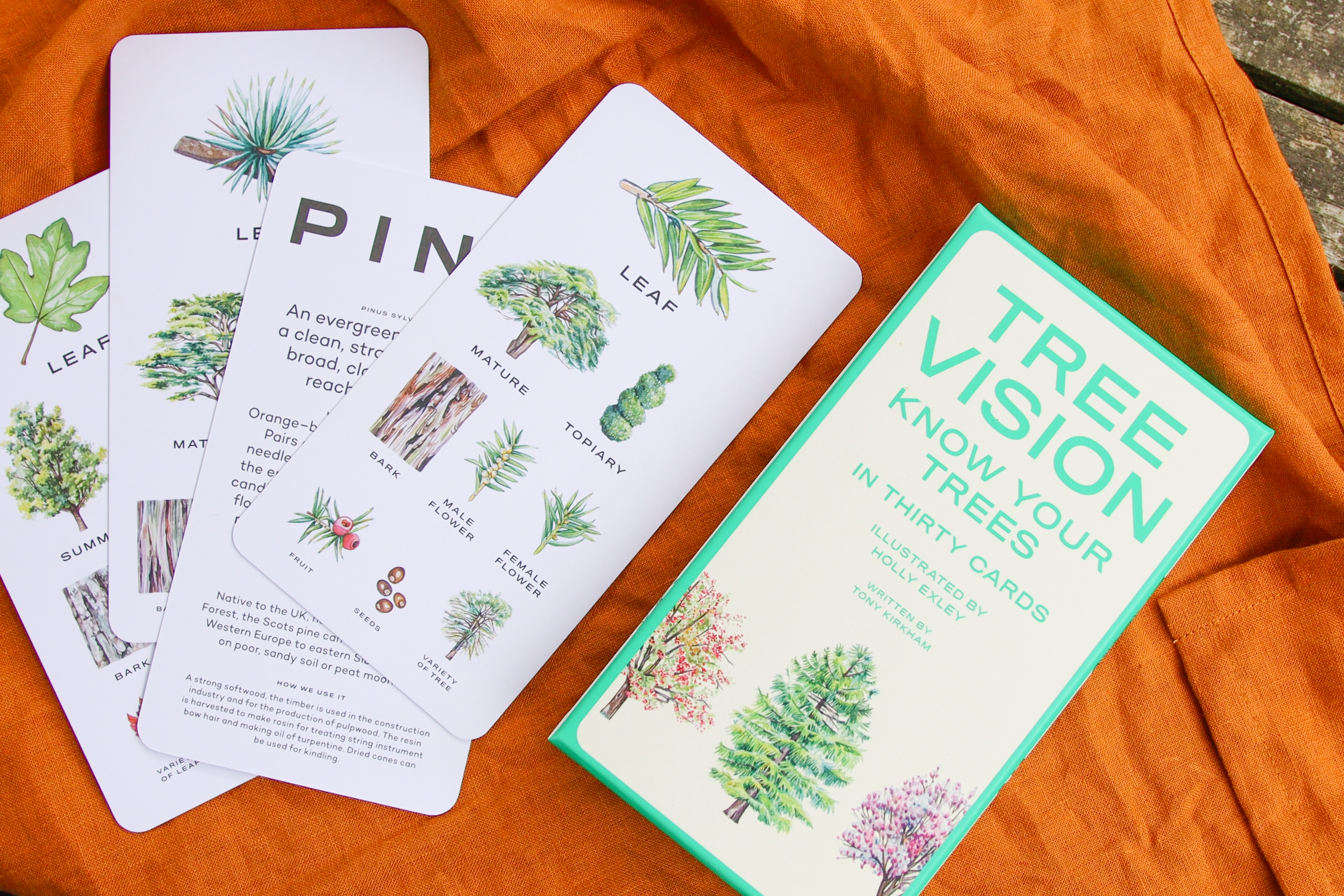 Tree Vision