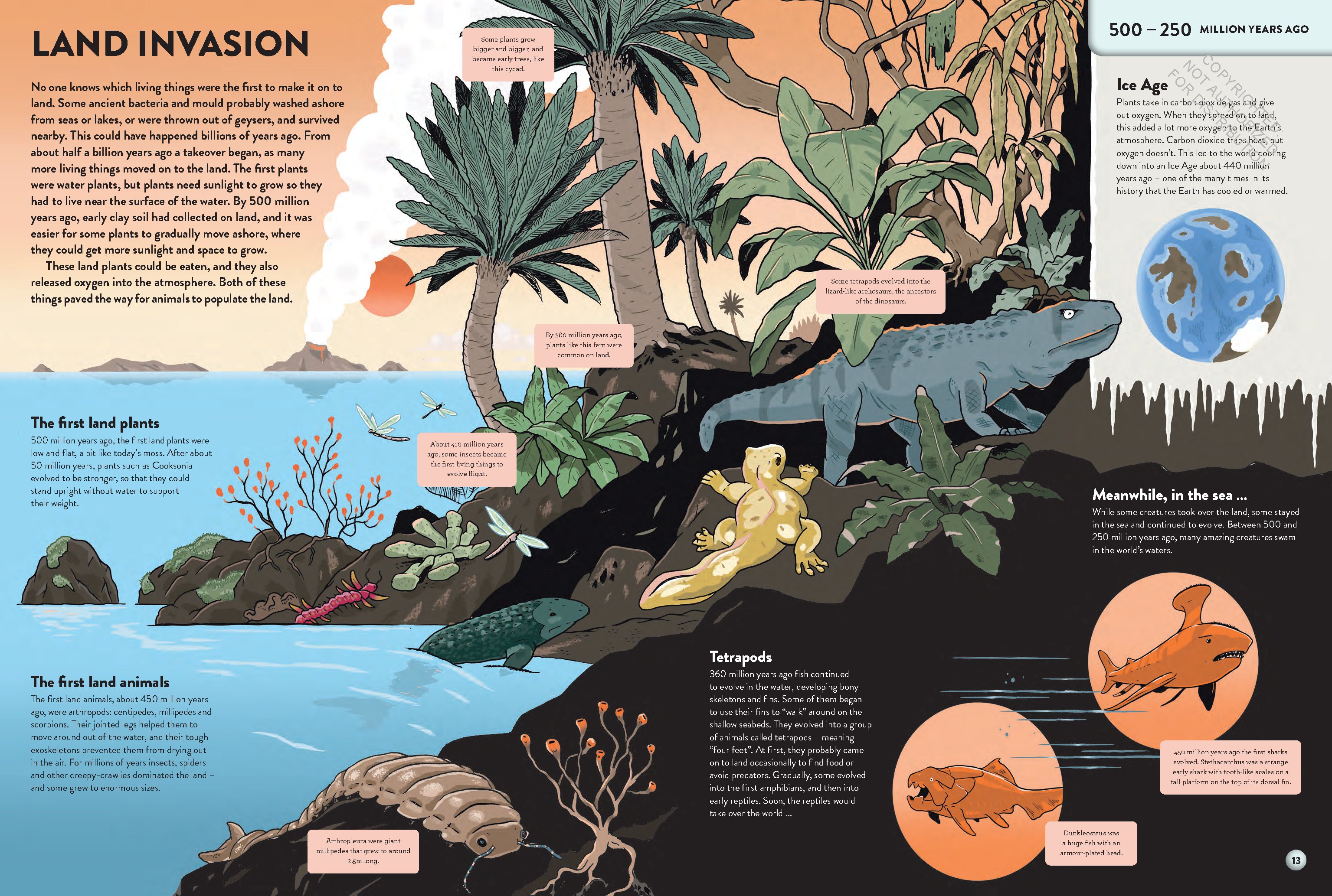 The History of Everything in 32 Pages