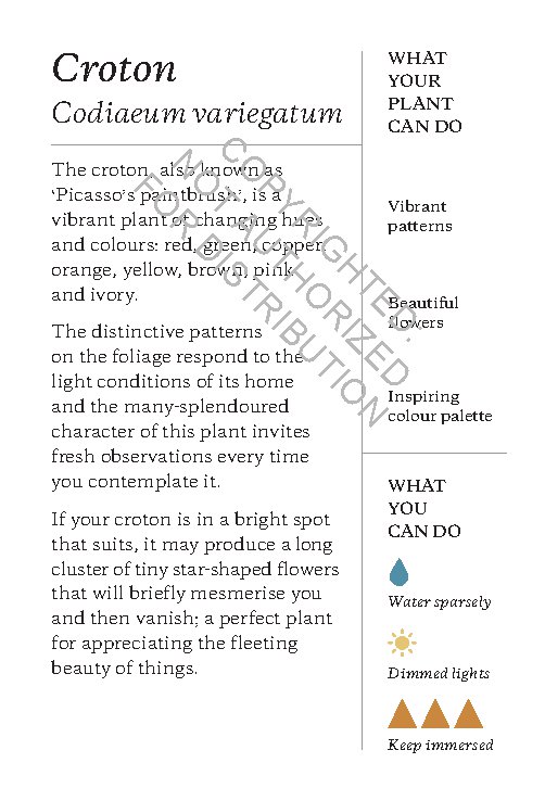 Plantfulness