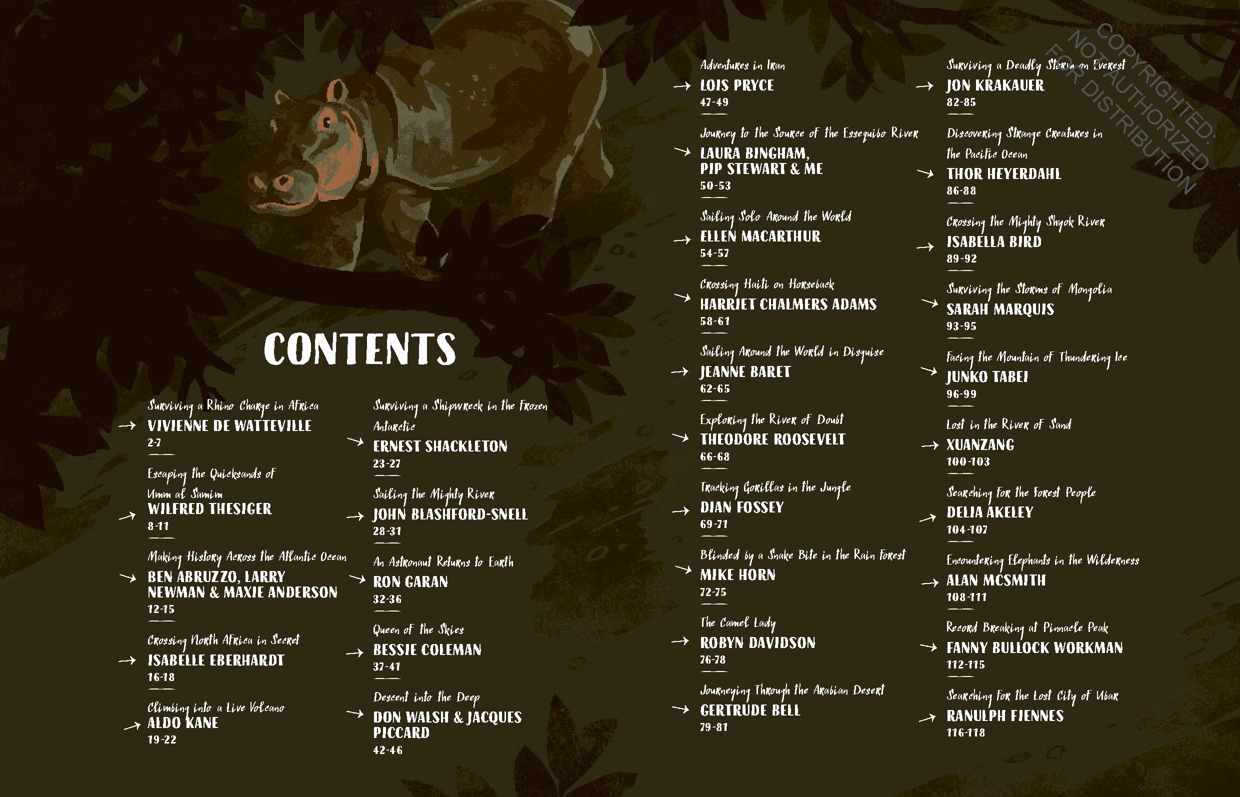 Adventure Starts at Bedtime