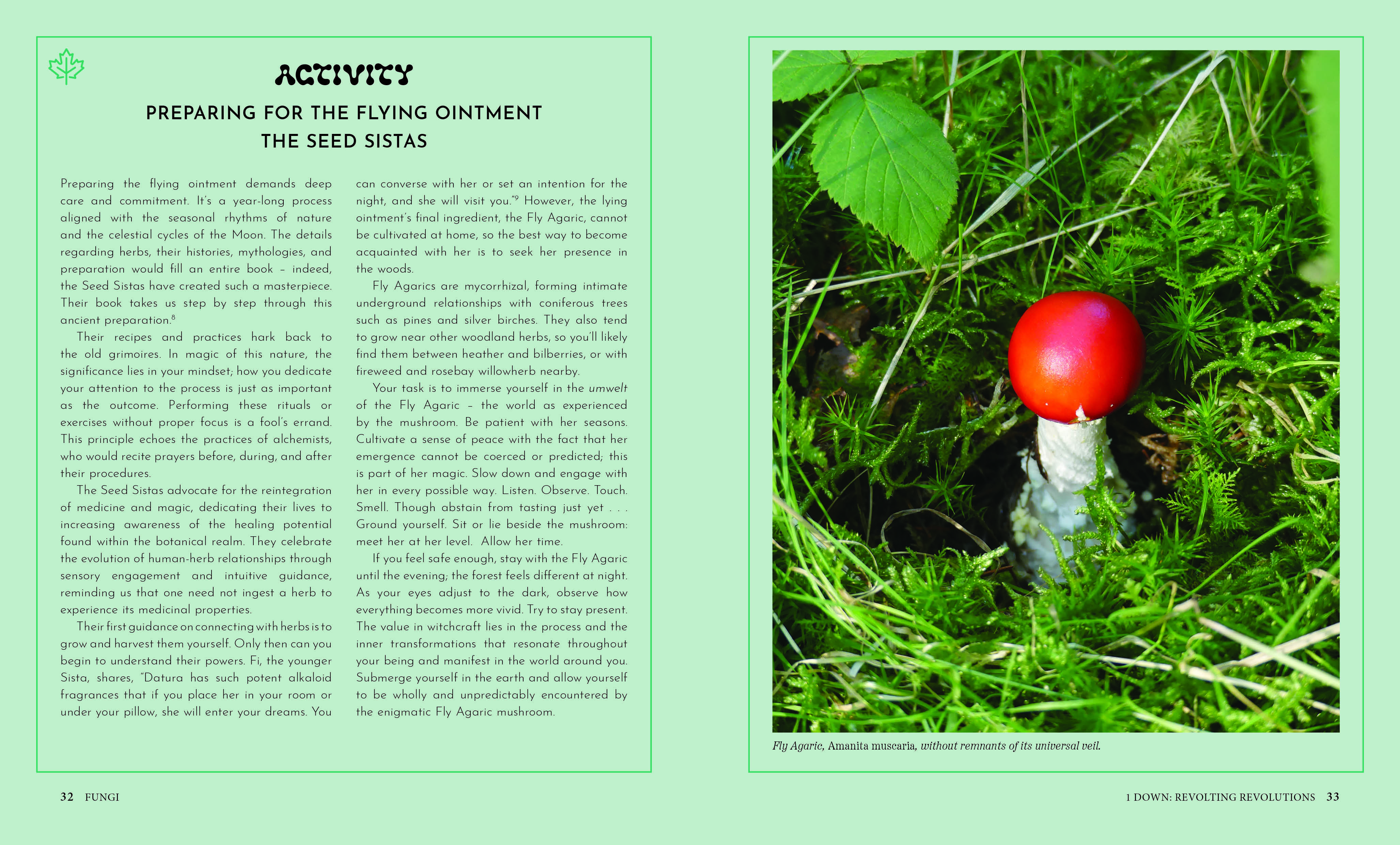 Fungi: Creatures & Cultures