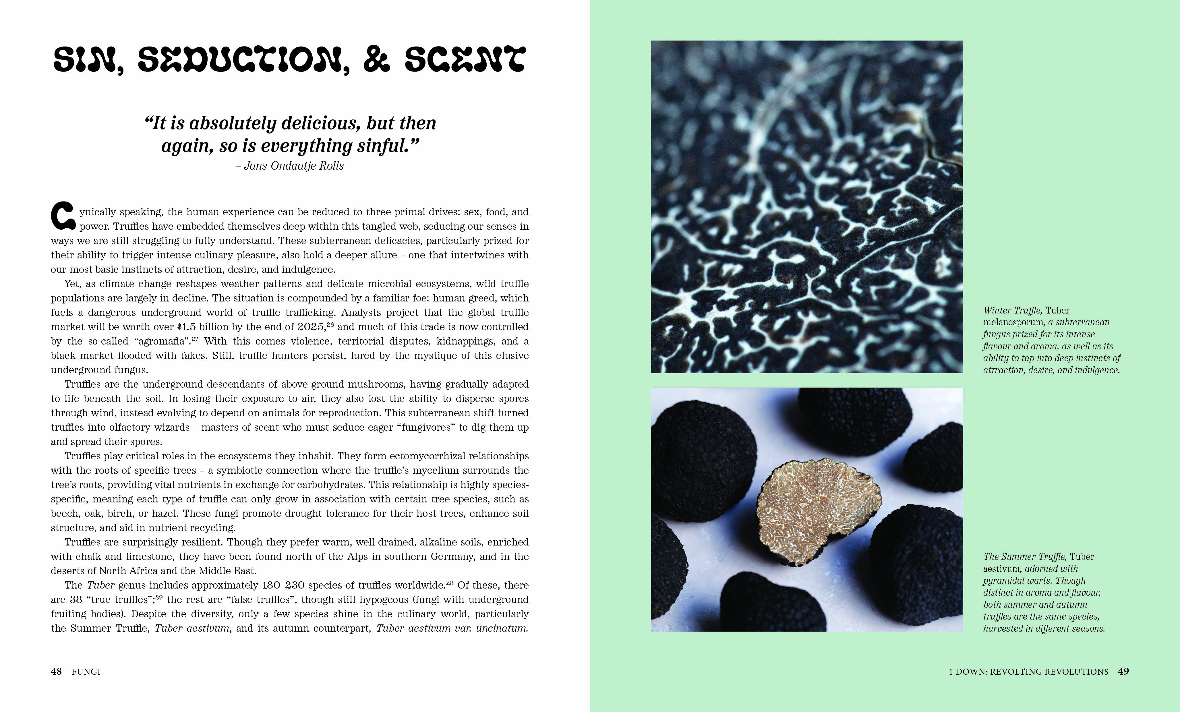 Fungi: Creatures & Cultures