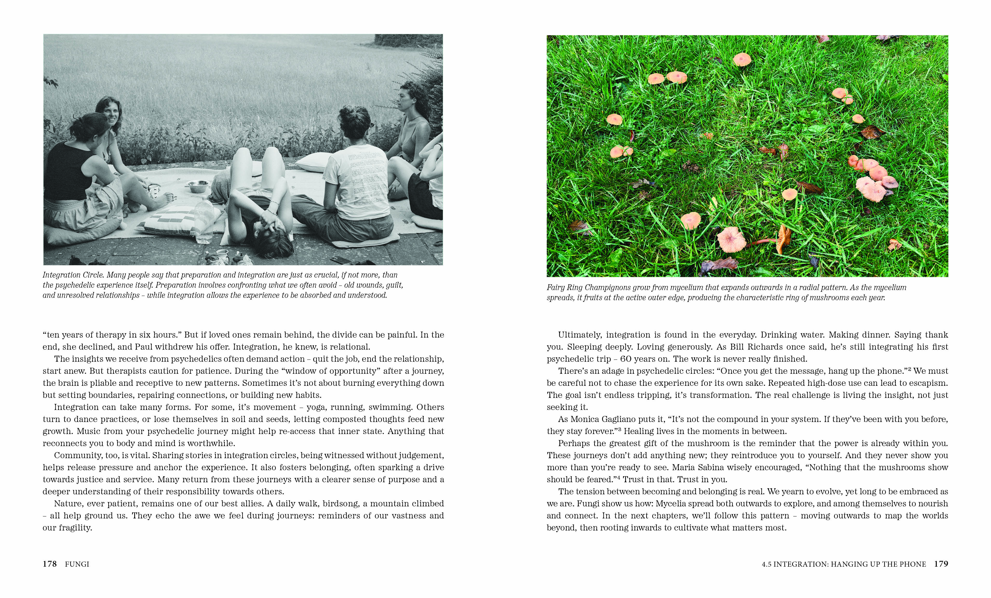 Fungi: Creatures & Cultures