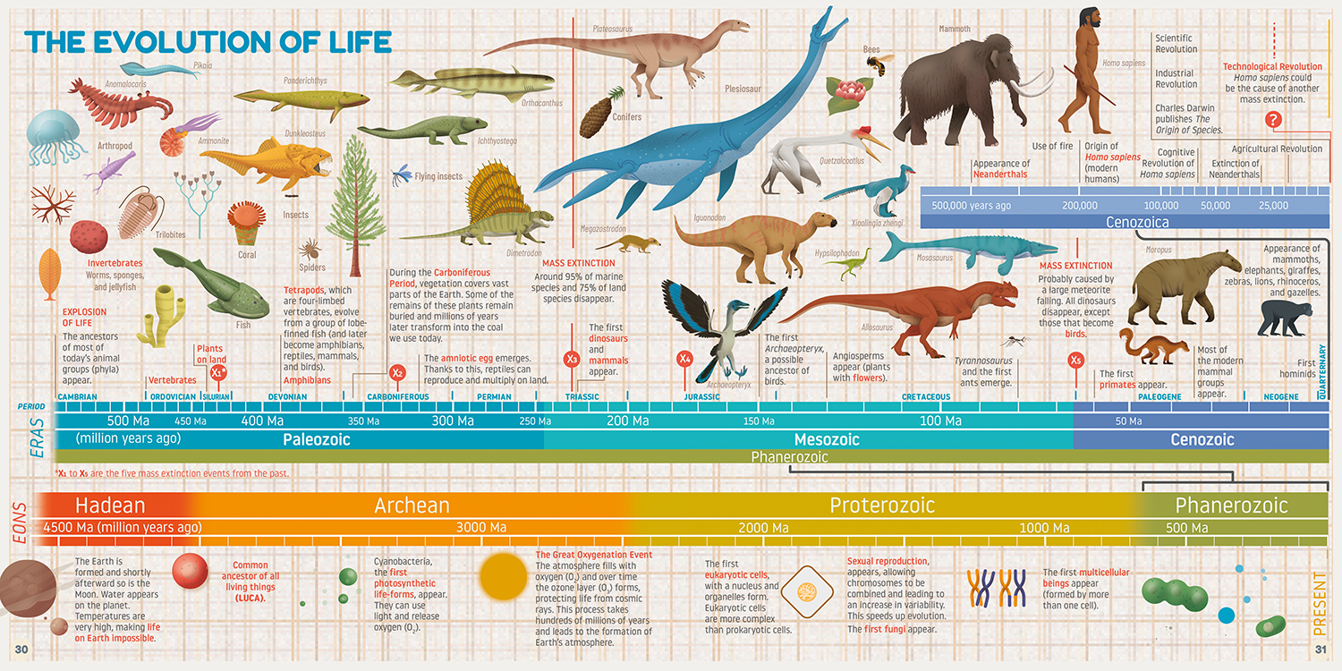 My First Book of Evolution