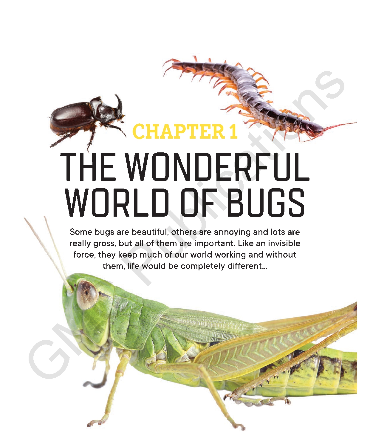 Factology: Bugs