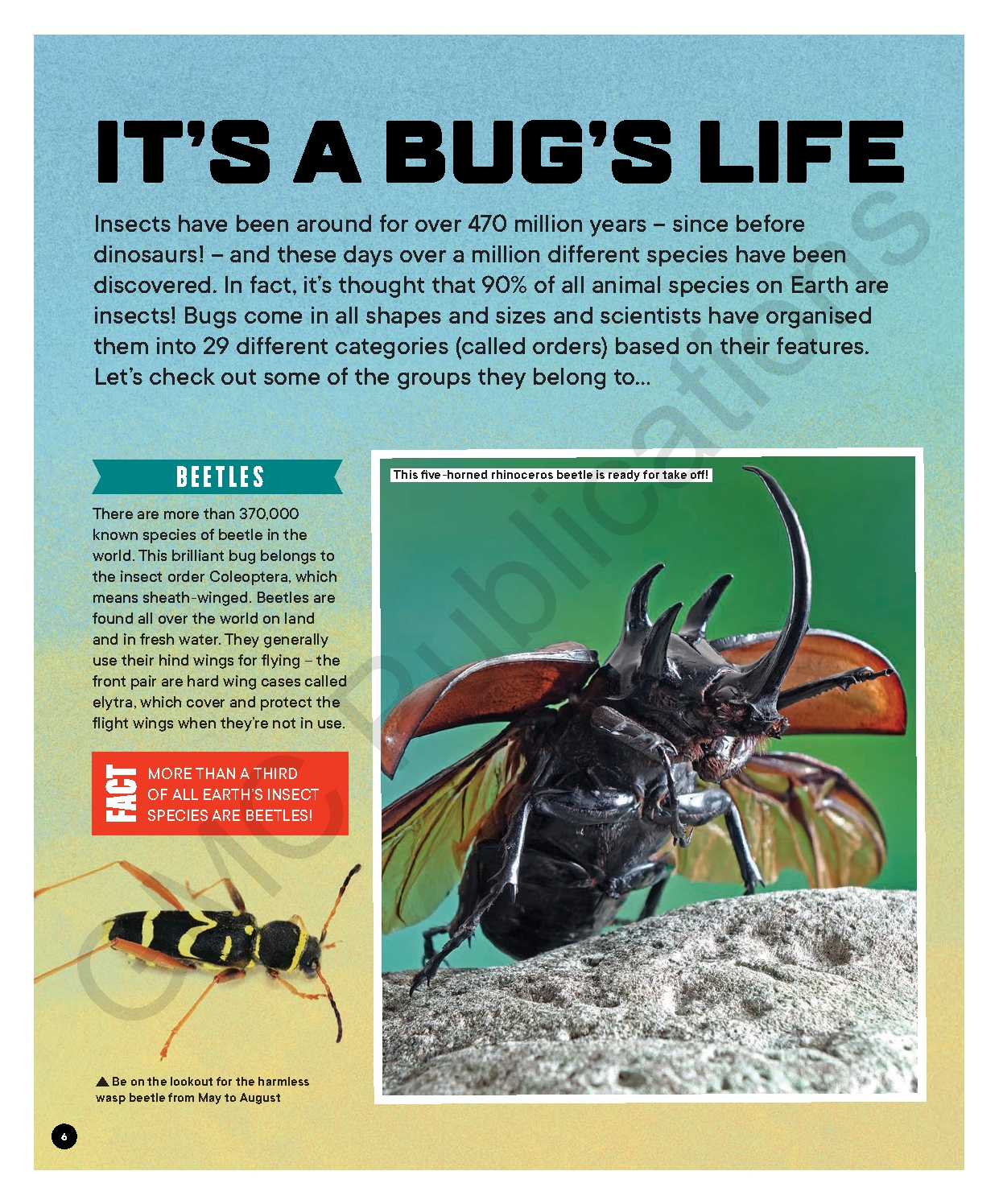 Factology: Bugs