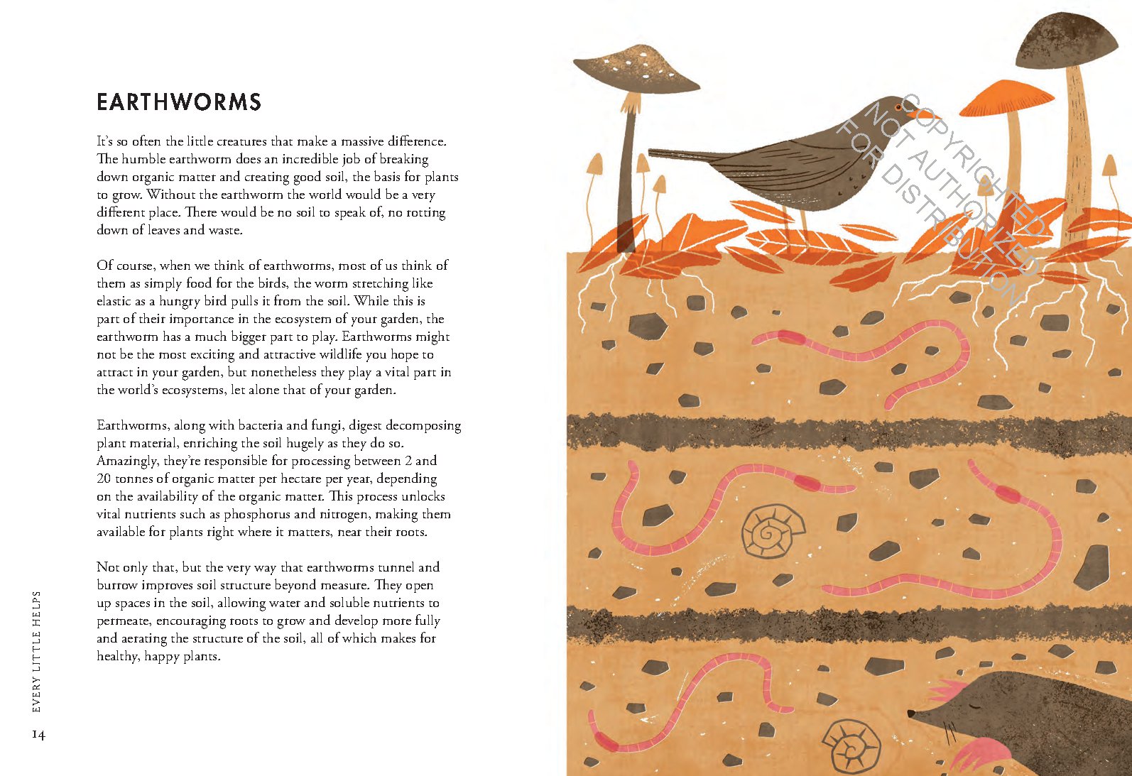 Planting for Wildlife