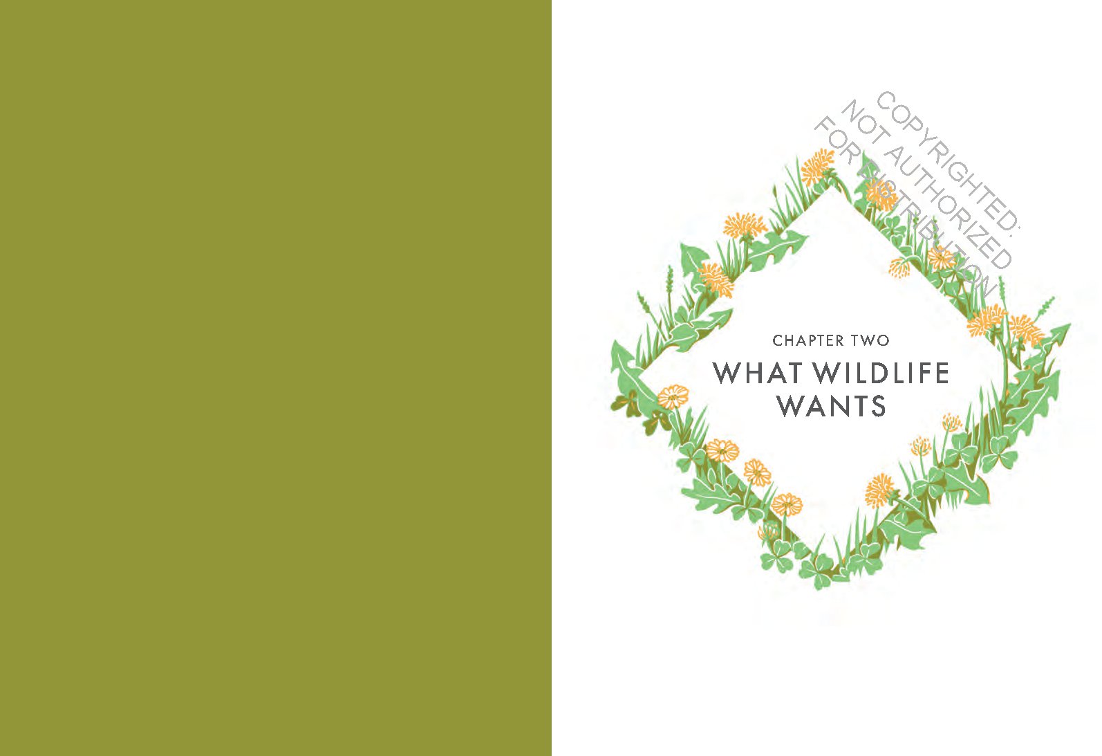 Planting for Wildlife