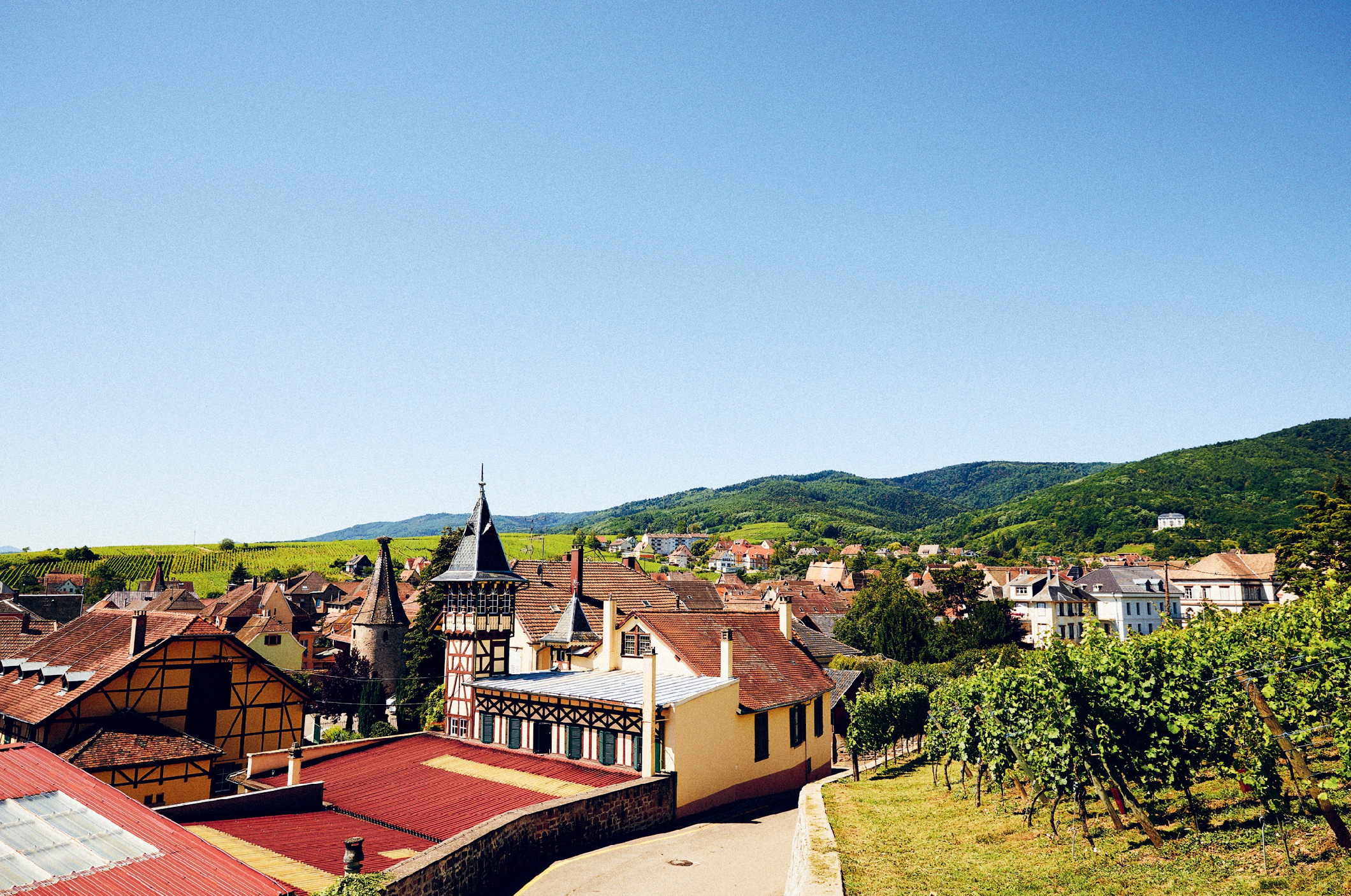 Who's Afraid of Romanée-Conti?