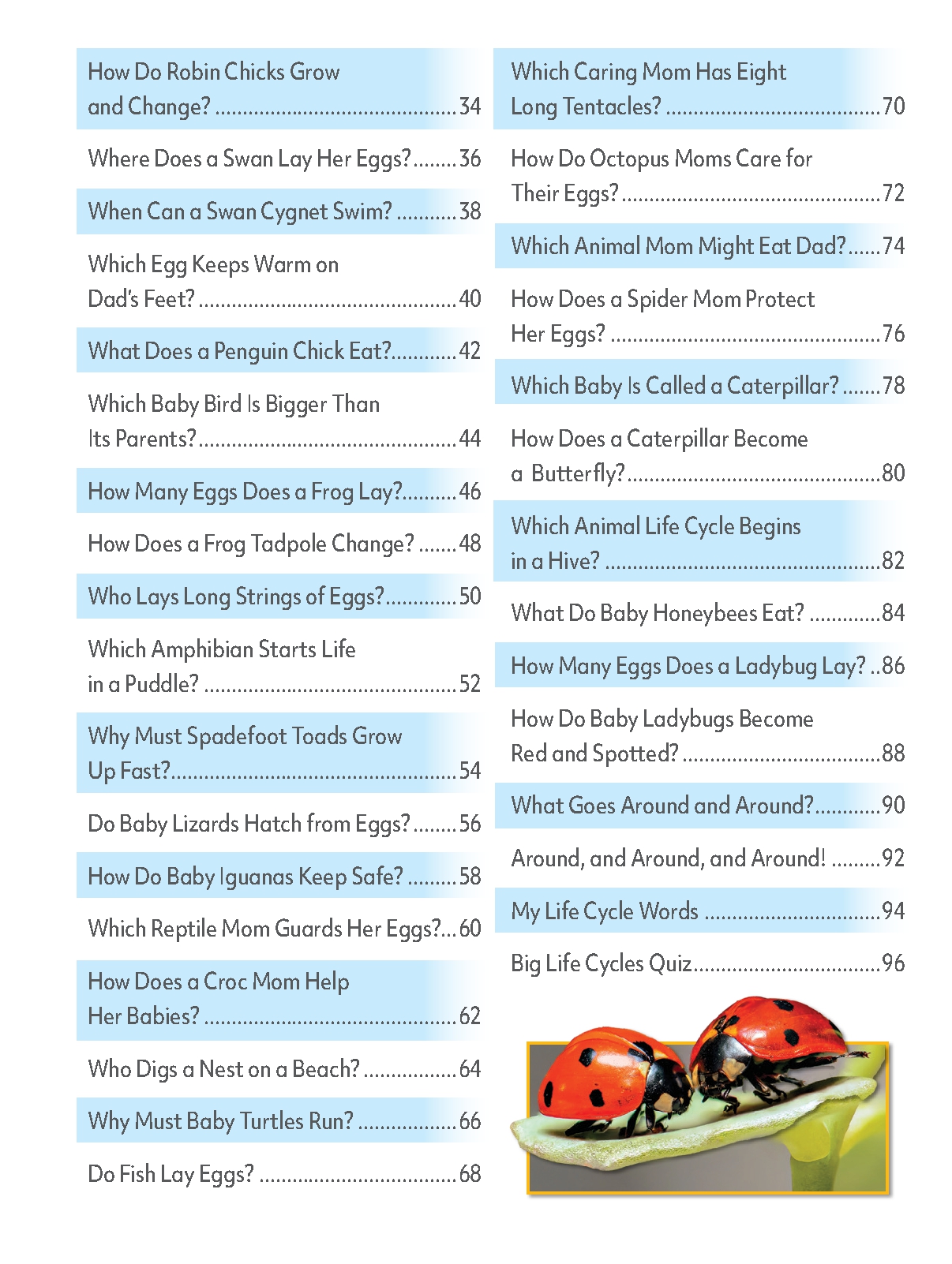 My First Big Book of Animal Life Cycles