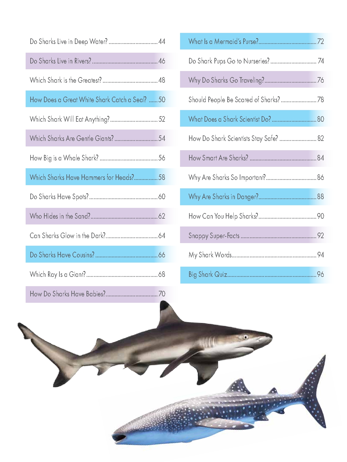My First Big Book of Shark Facts