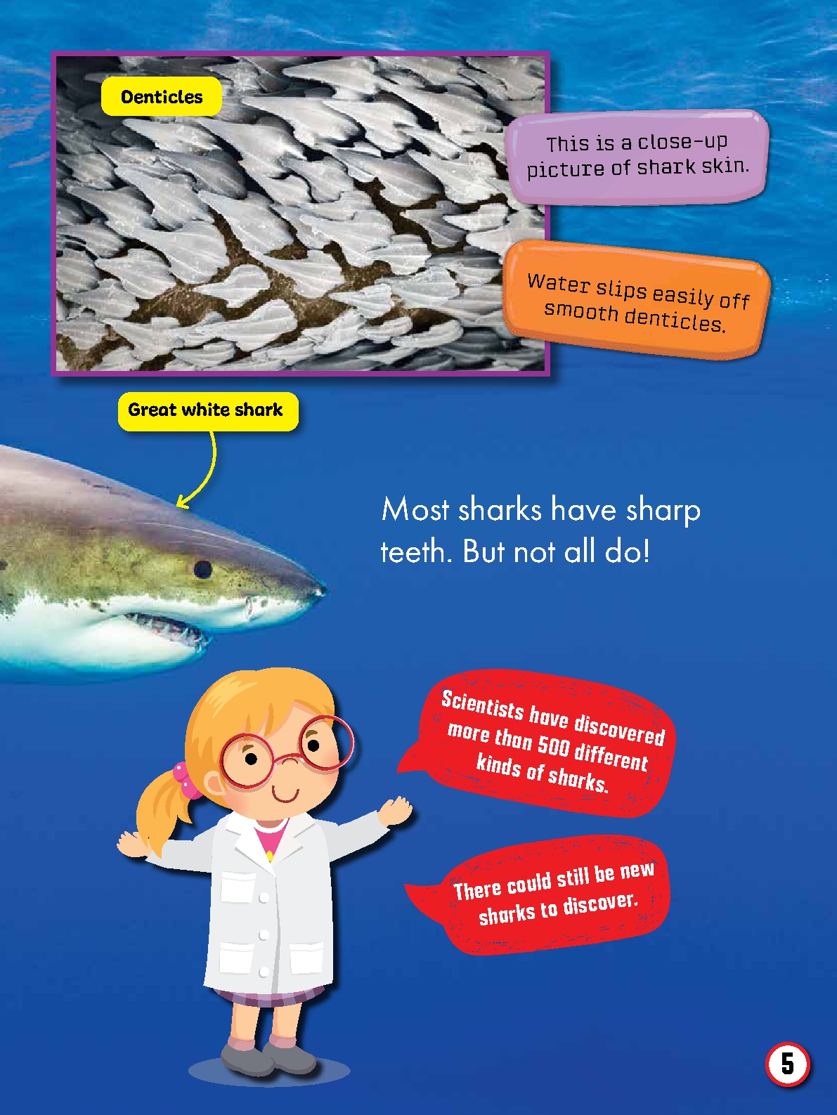 My First Big Book of Shark Facts