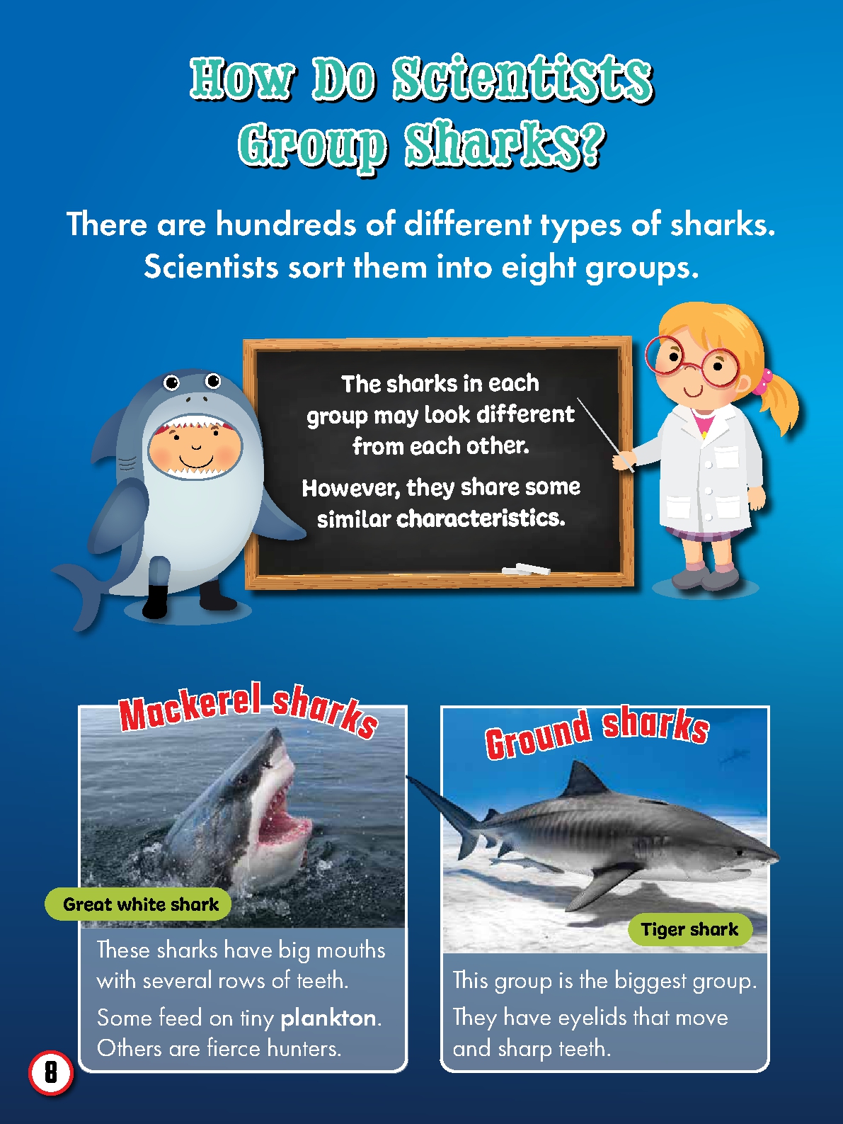 My First Big Book of Shark Facts