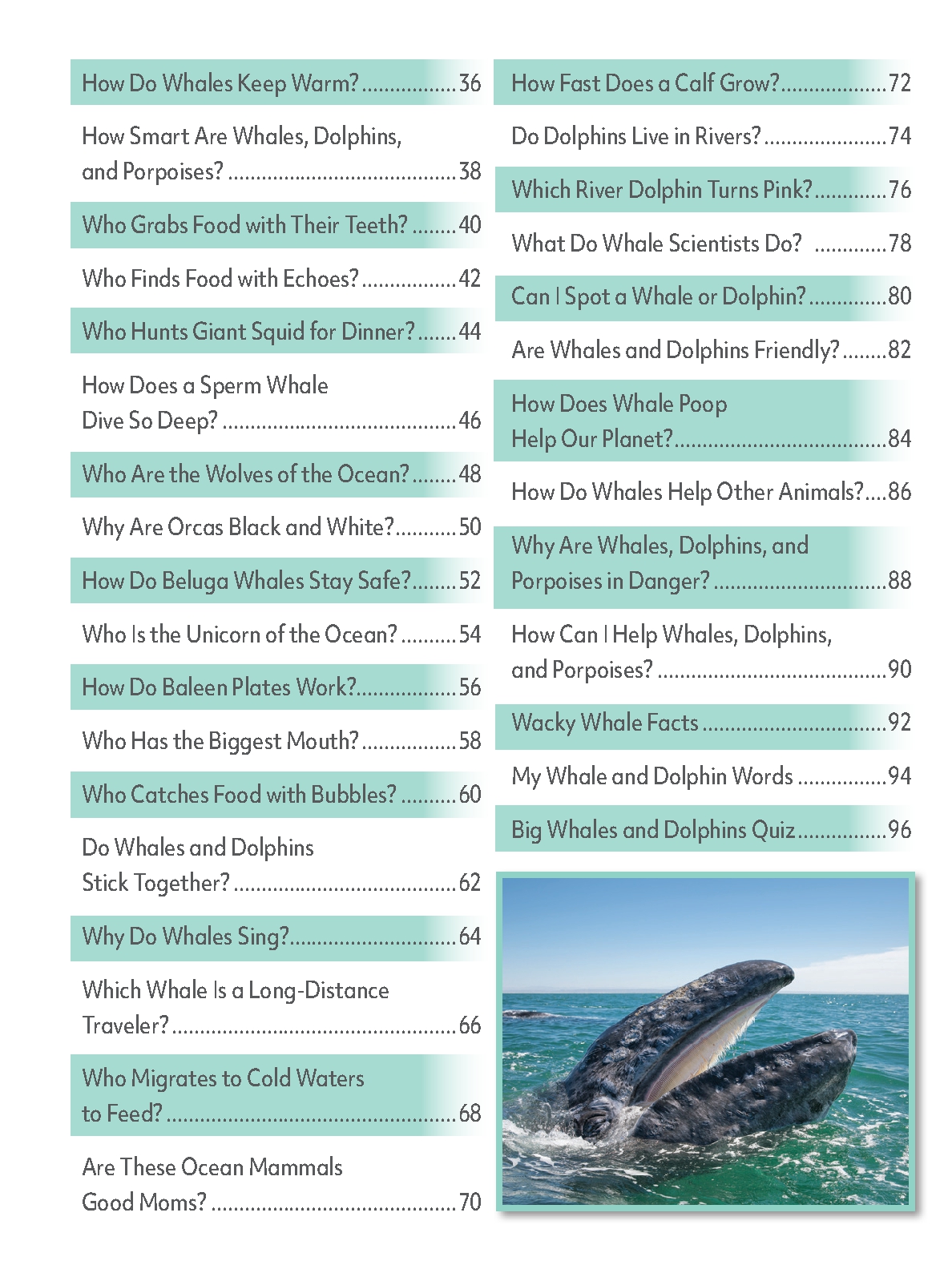 My First Big Book of Whales and Dolphins