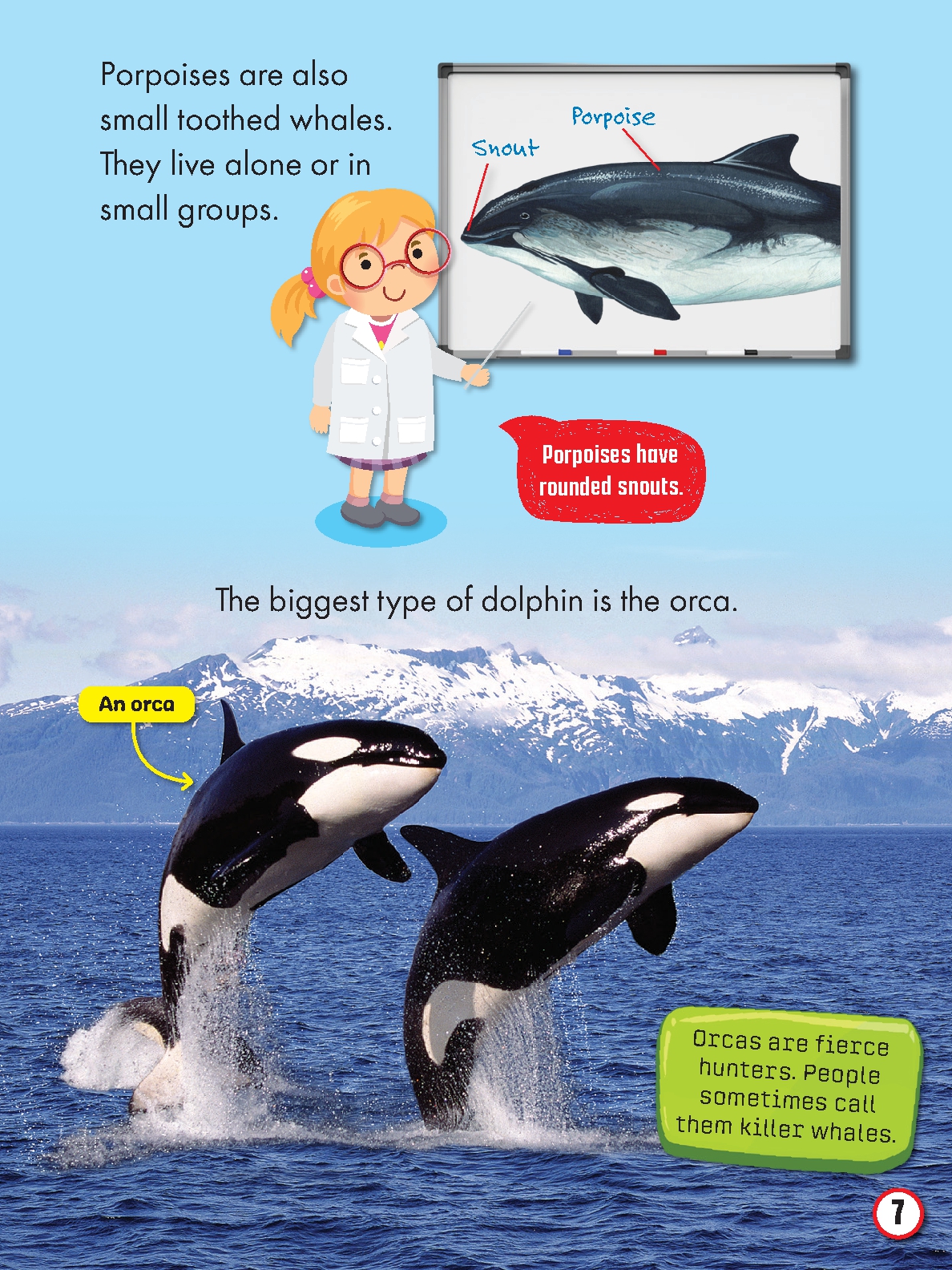 My First Big Book of Whales and Dolphins