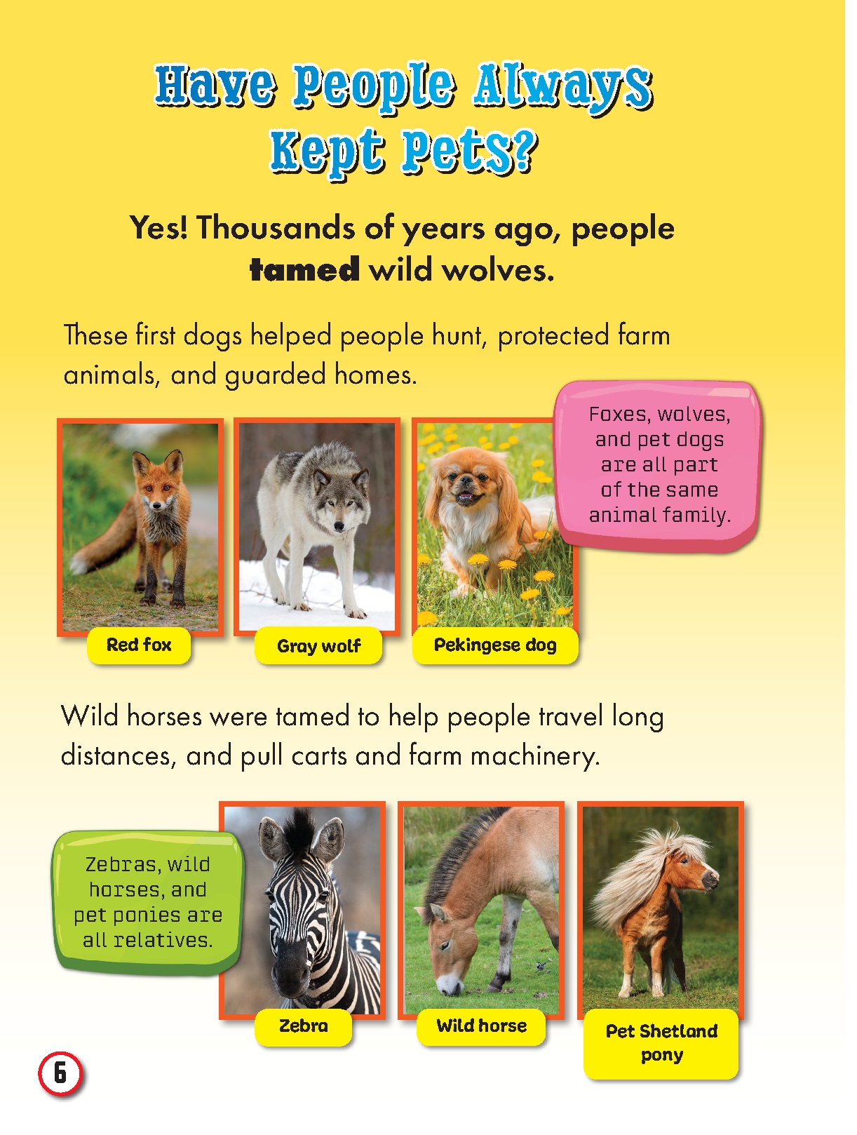 My First Big Book of Pets and Pet Care