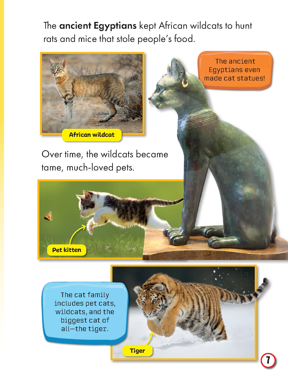 My First Big Book of Pets and Pet Care