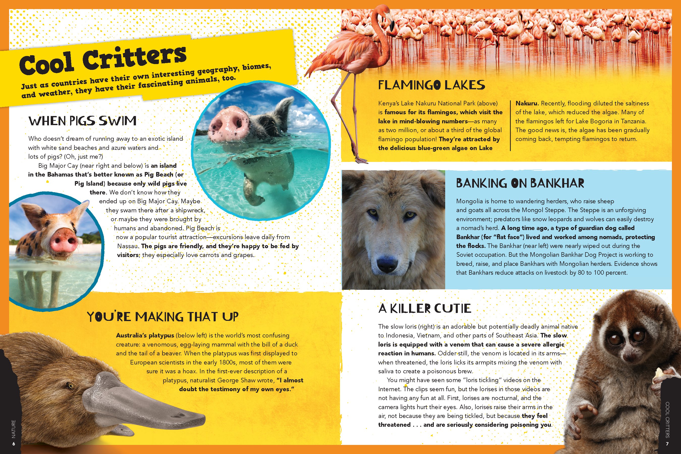 The Big World of Fun Facts